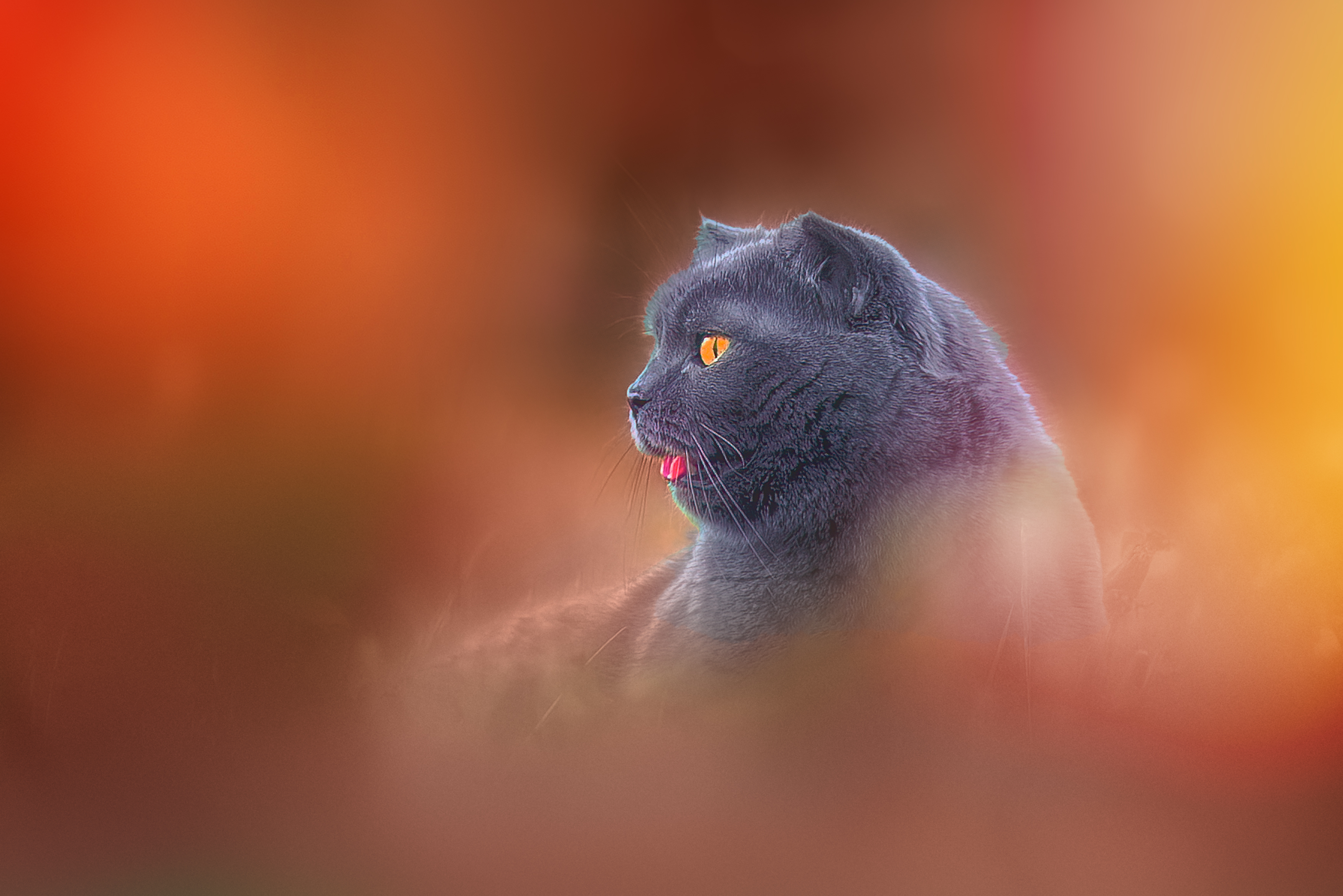 , Холудеев Виктор