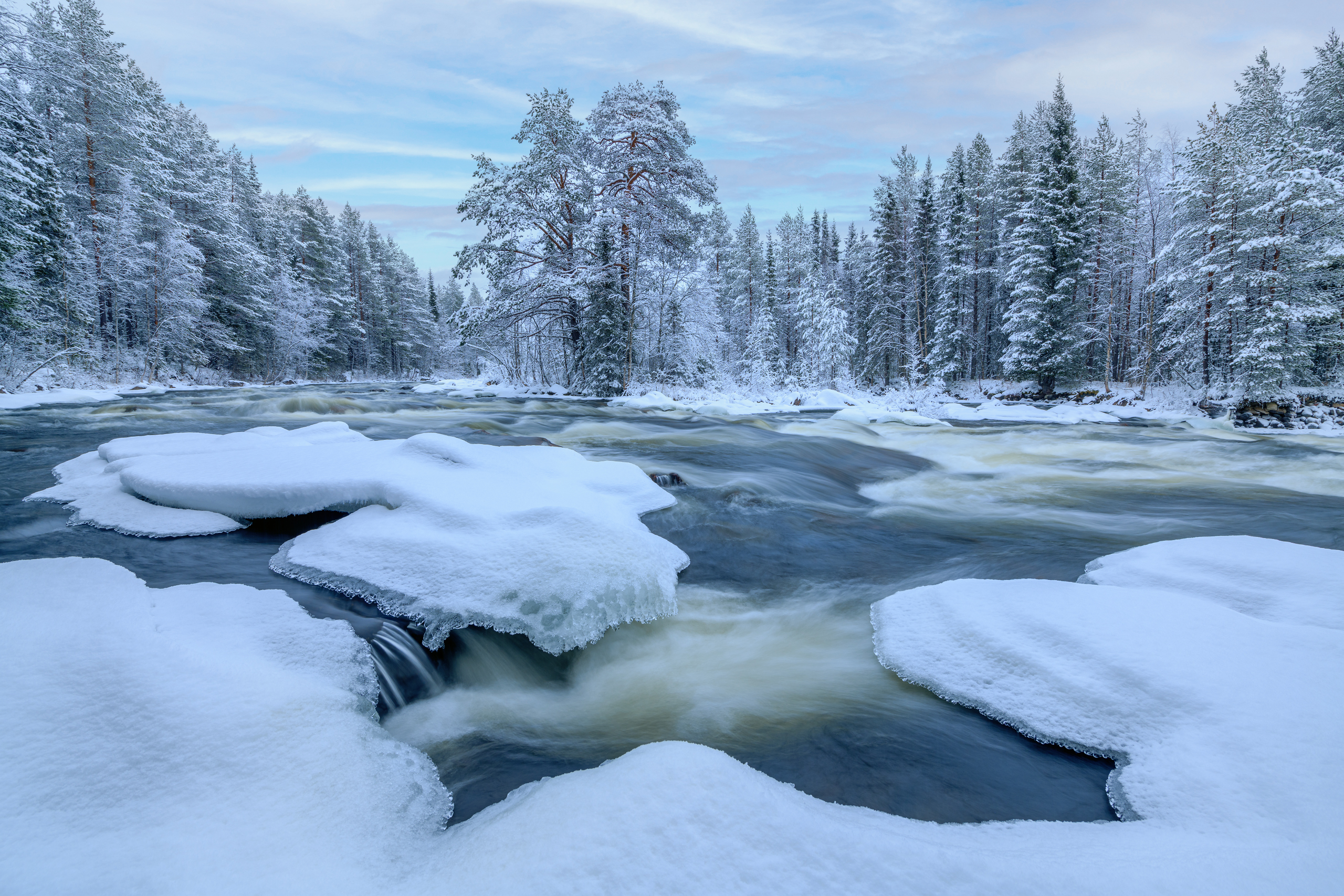 кольский, Евдокимов Максим