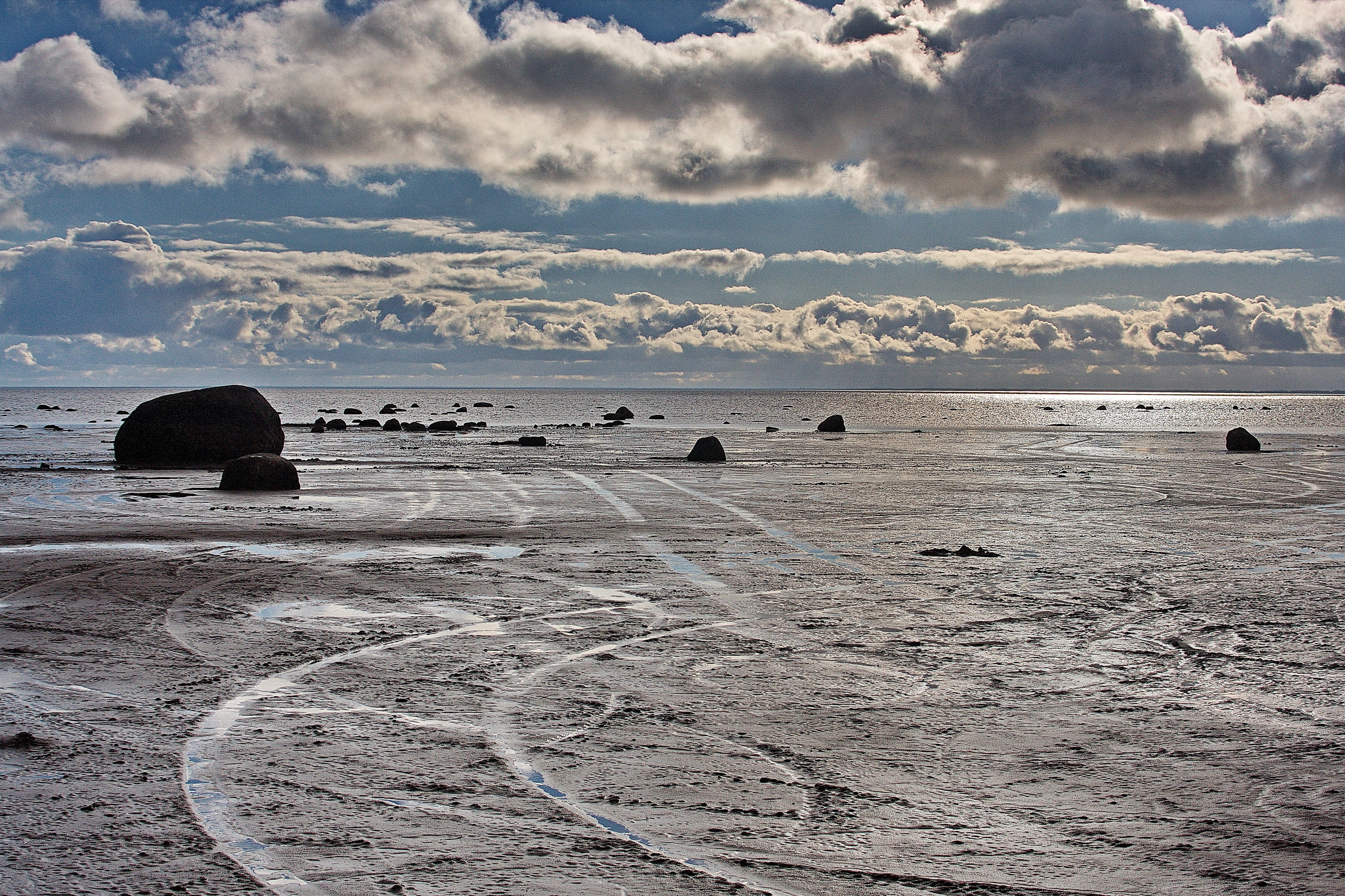 , Николаев Владимир