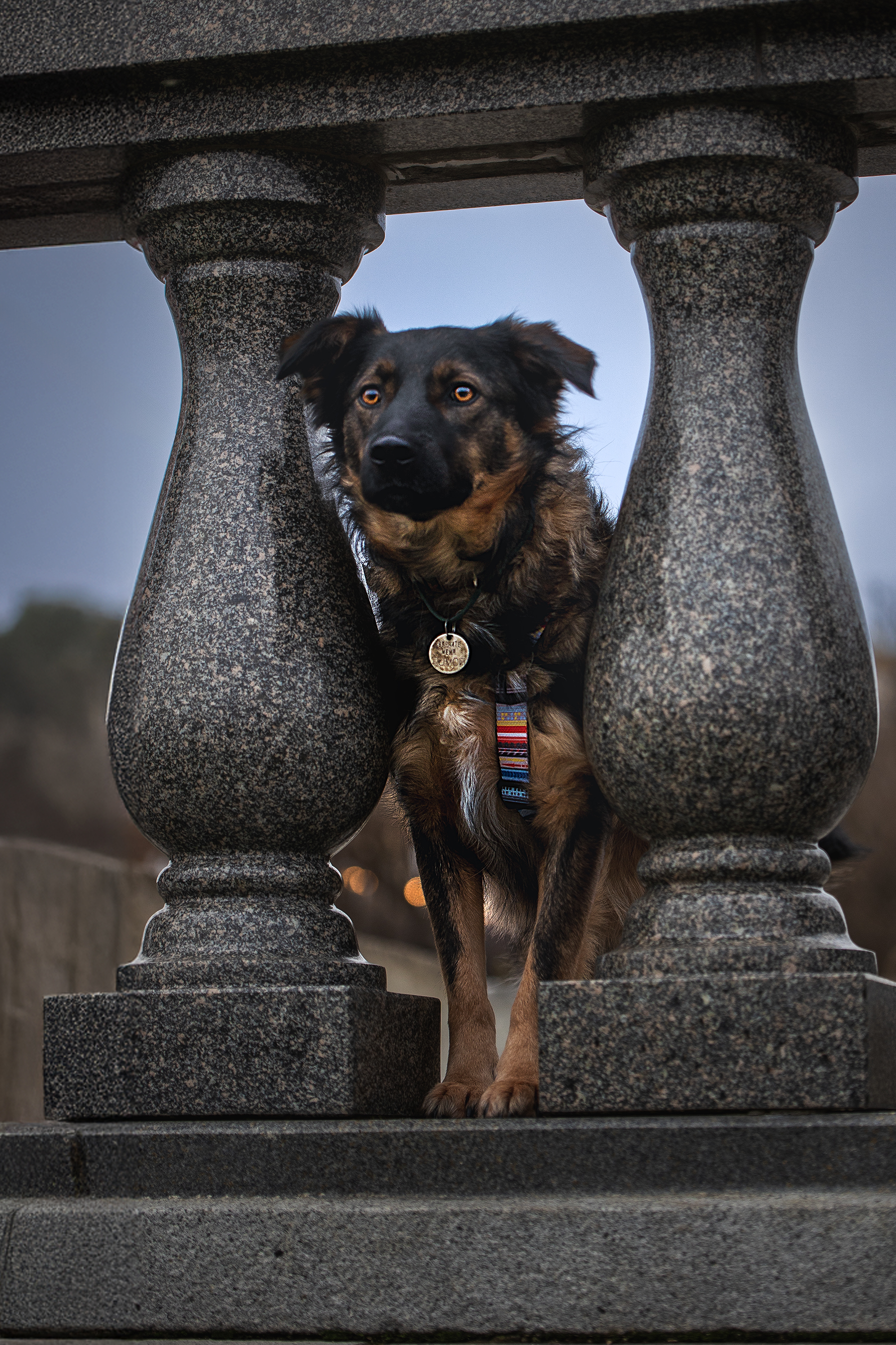 , Елена Самусенкова