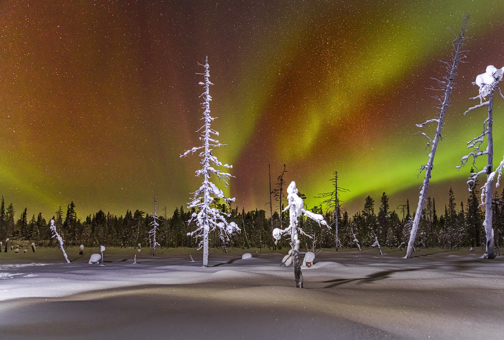 северное, сияние, Ермохина Наталья