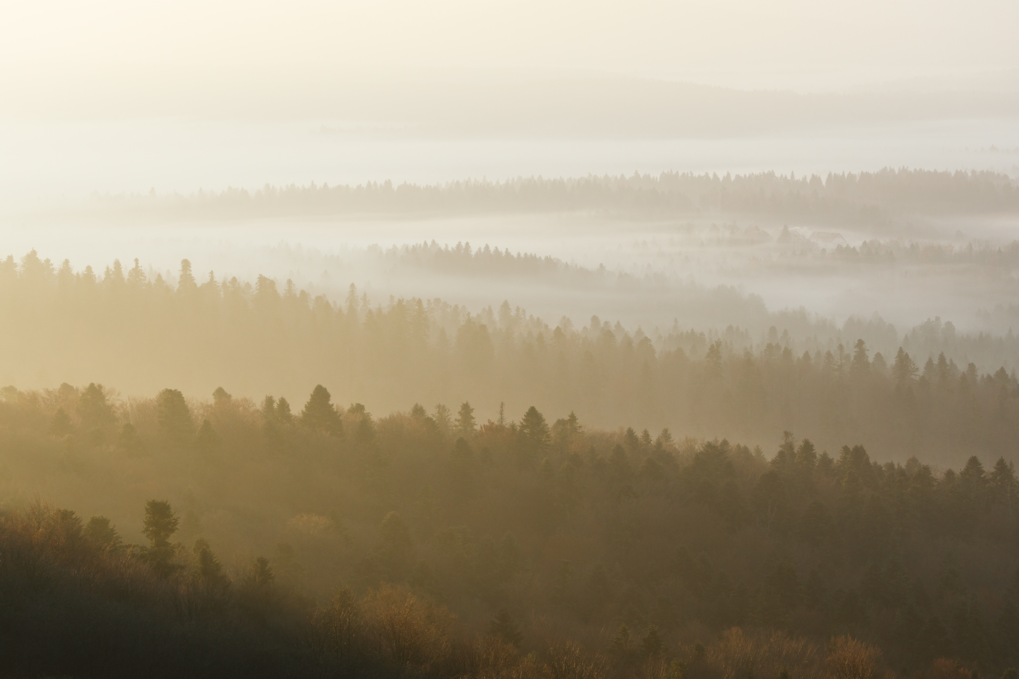 ,  Mirosław Pruchnicki