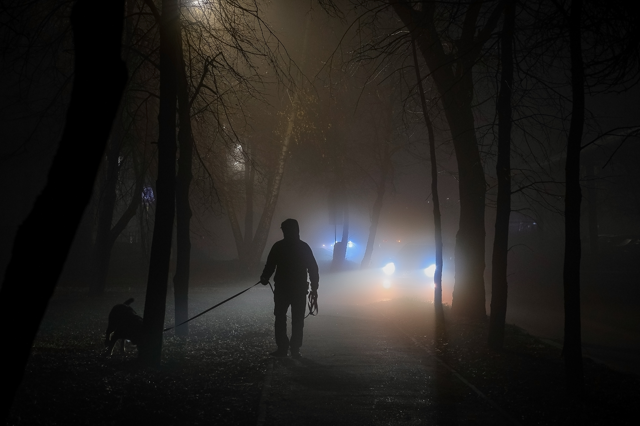 ноябрь город улица ночь туман, Владислав Никишин