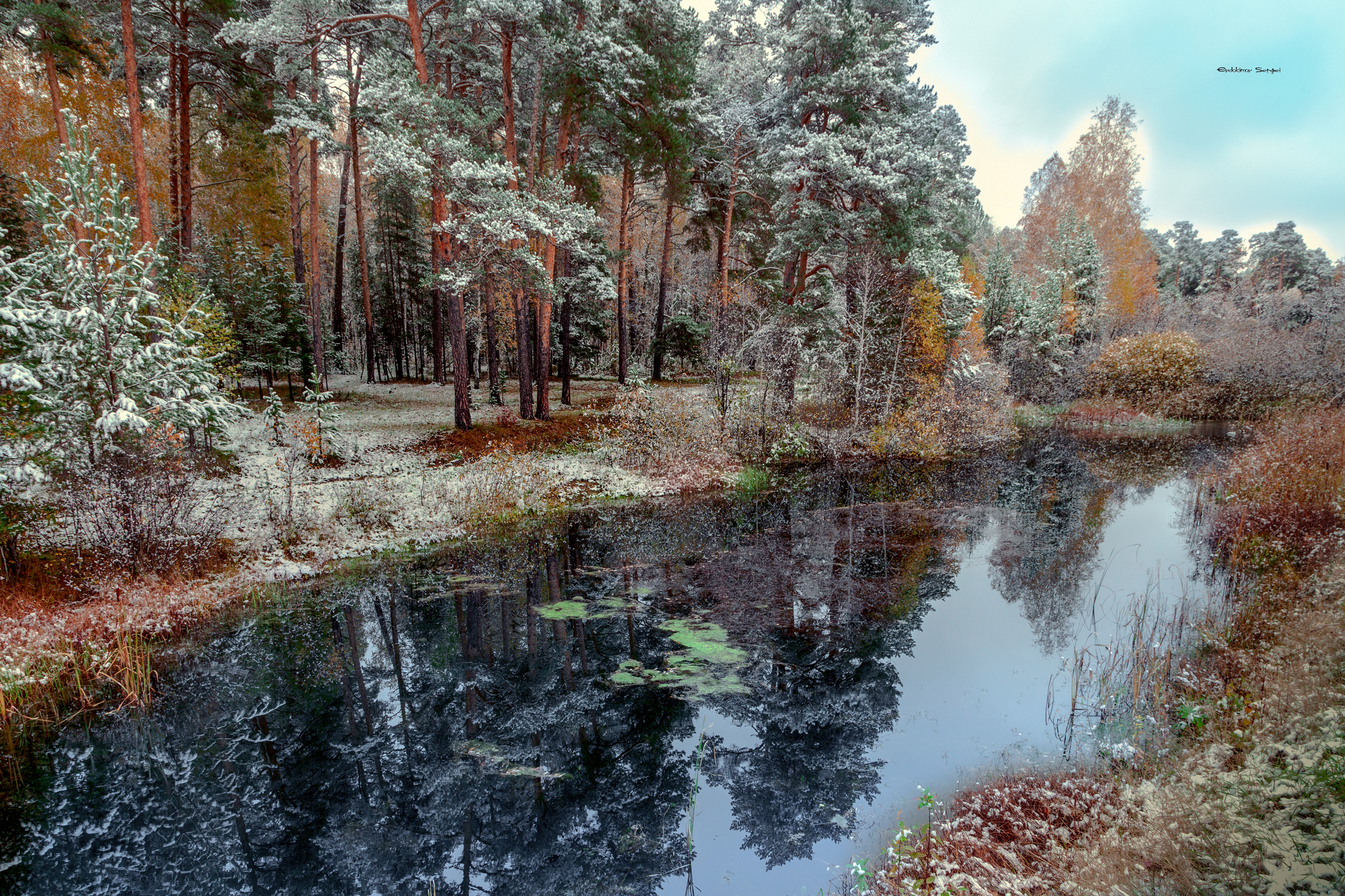 , Евдокимов Сергей