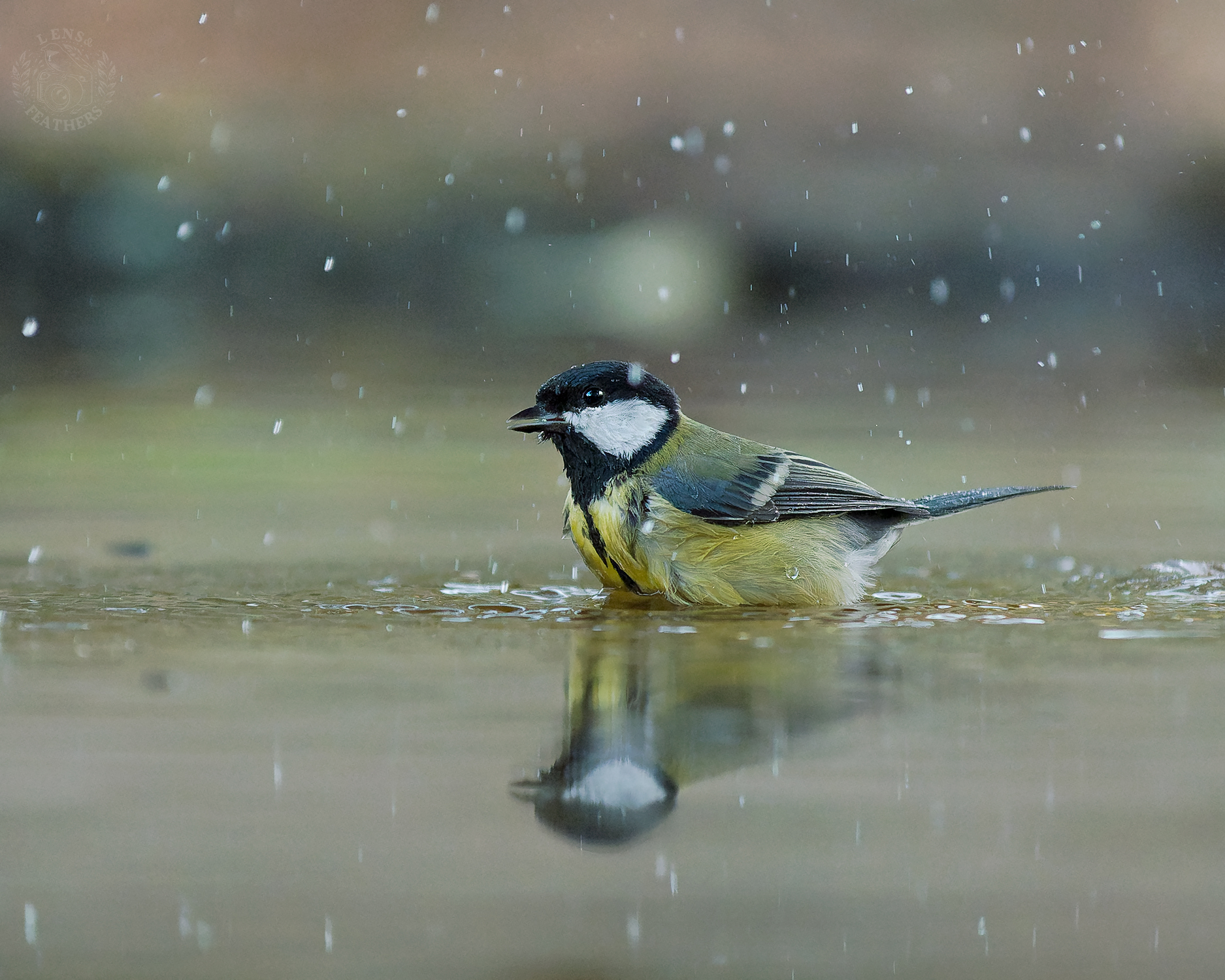 , Евгени Стефанов