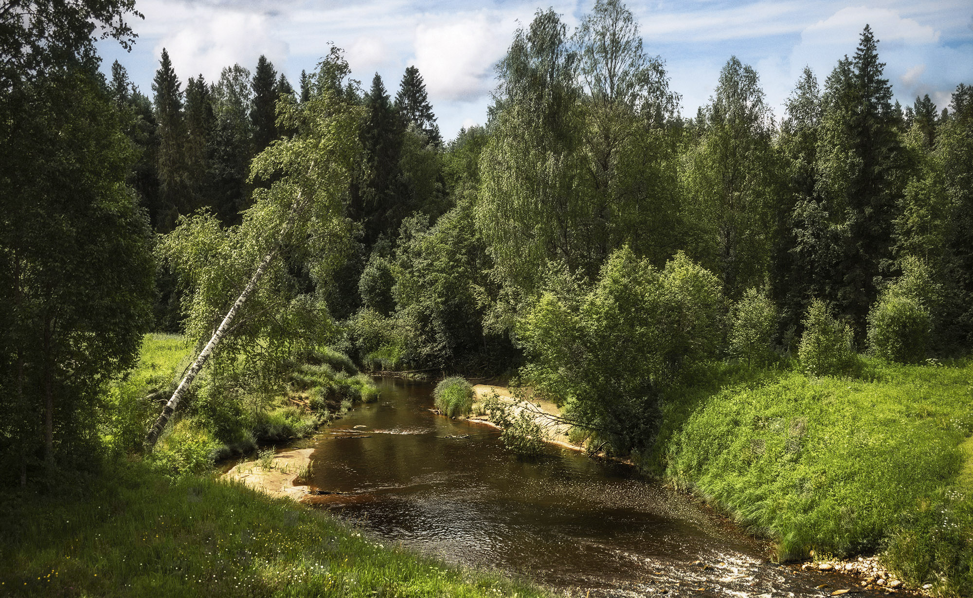 , Павел Дунюшкин