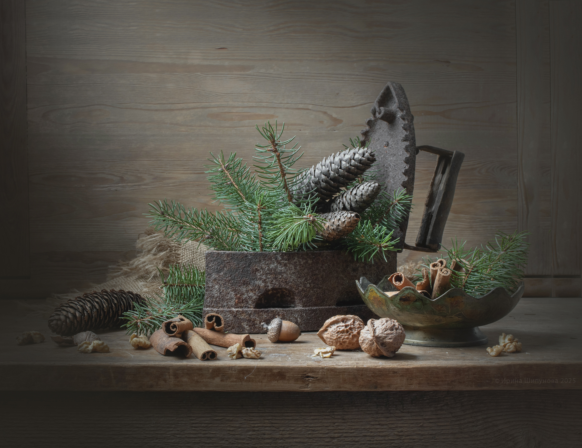 , Шипунова Ирина