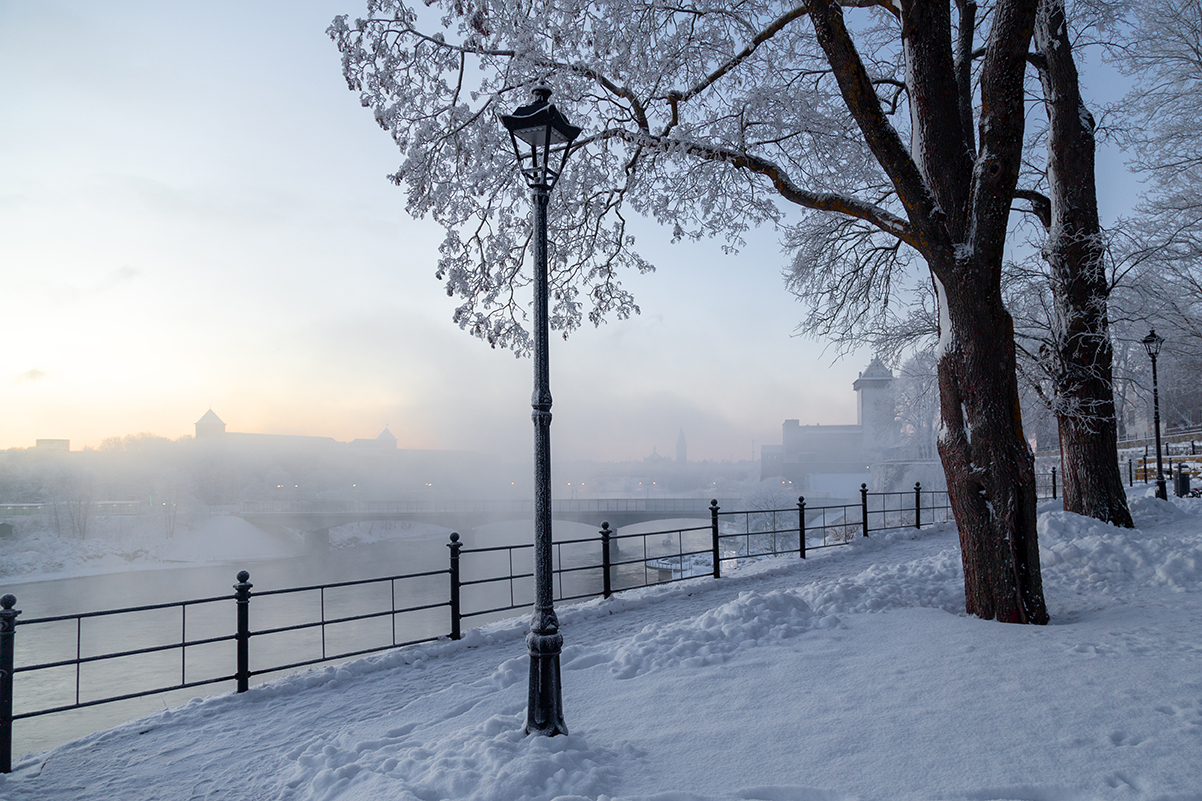 нарва зима утро мороз иней, Четвертной Сергей