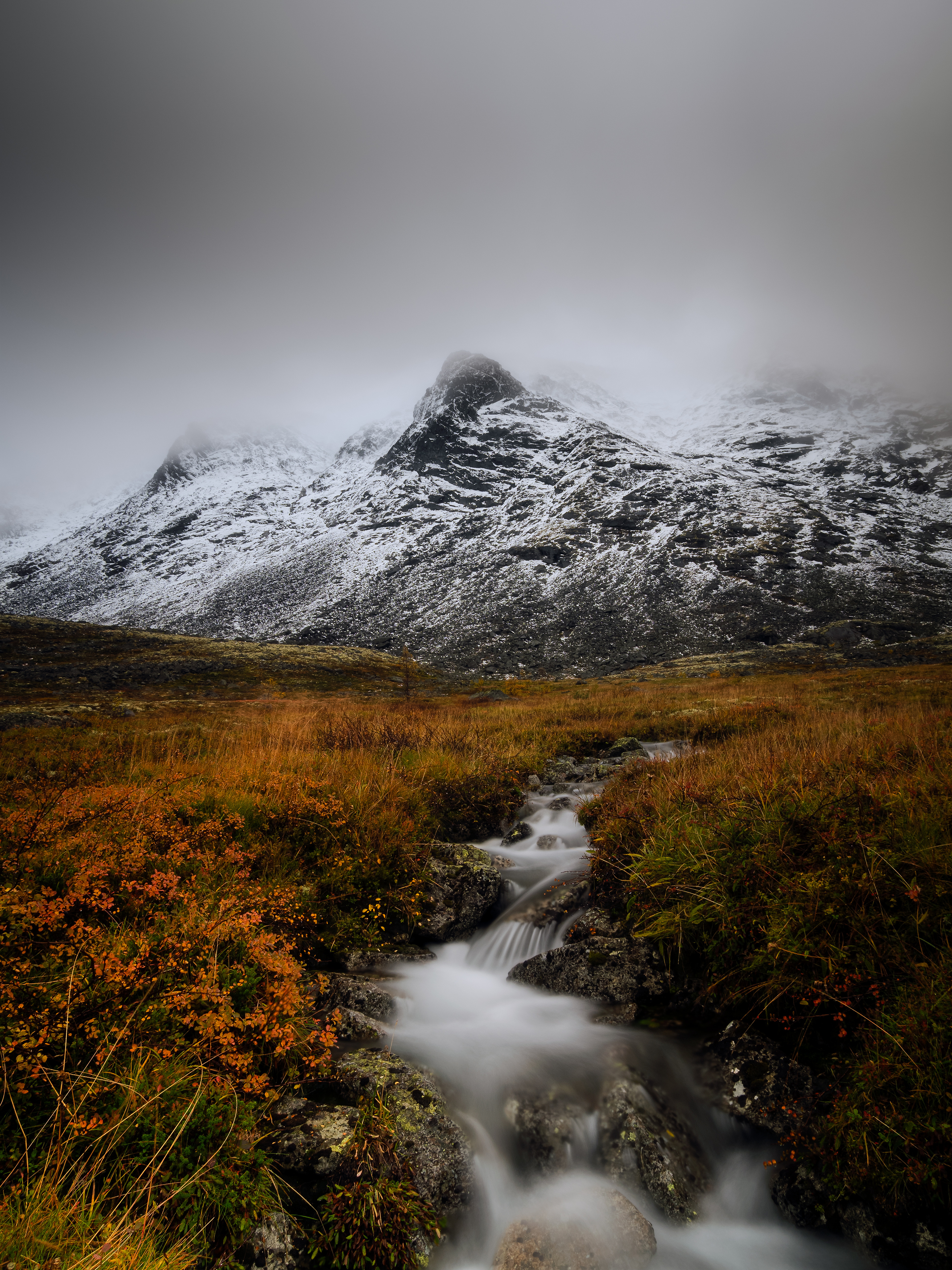 , роман фарберов
