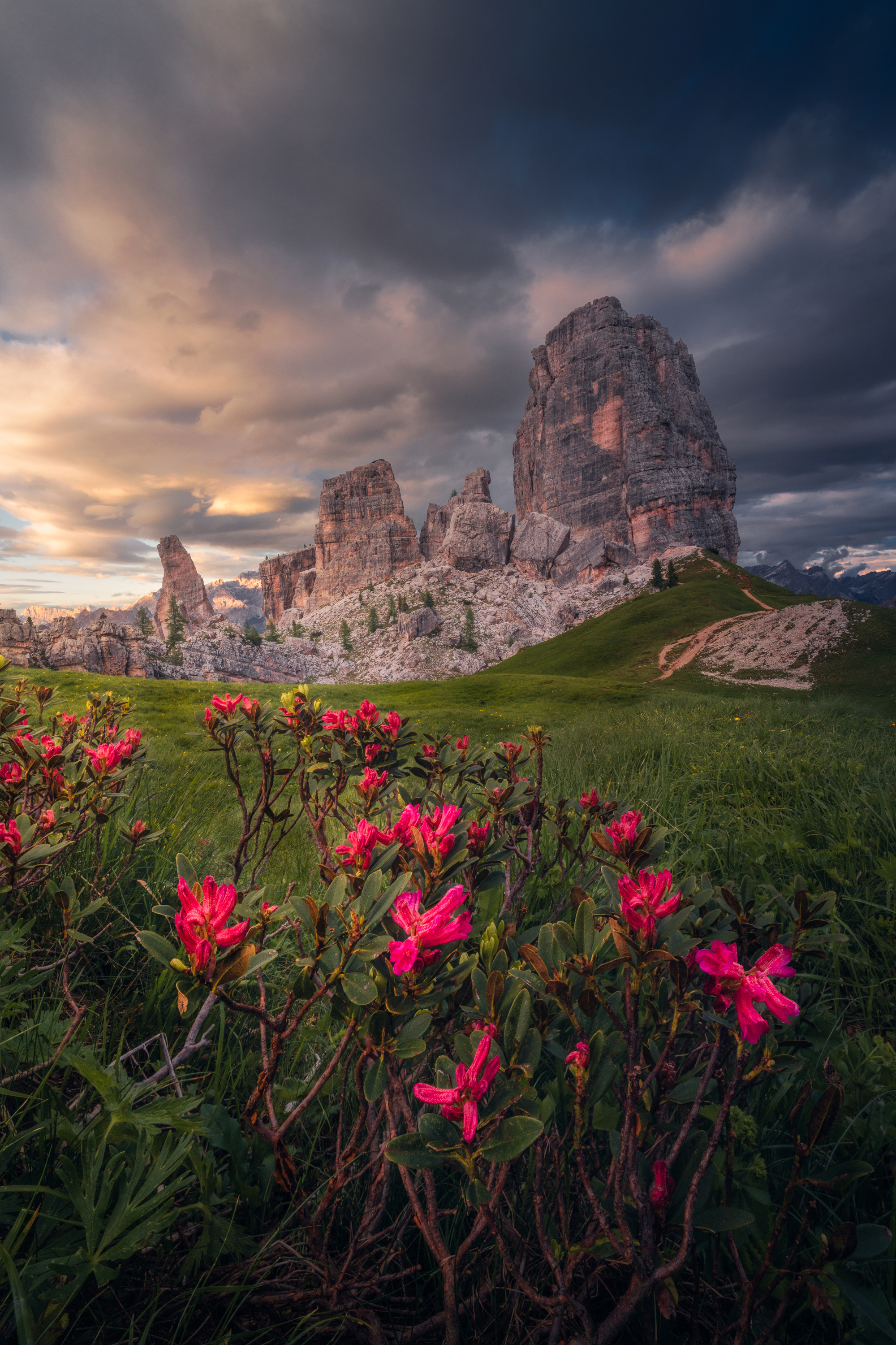 , Вукотић Никола