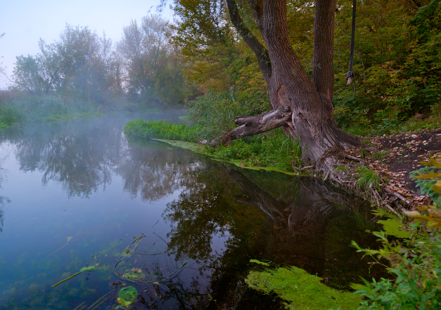 , Рукин Иван