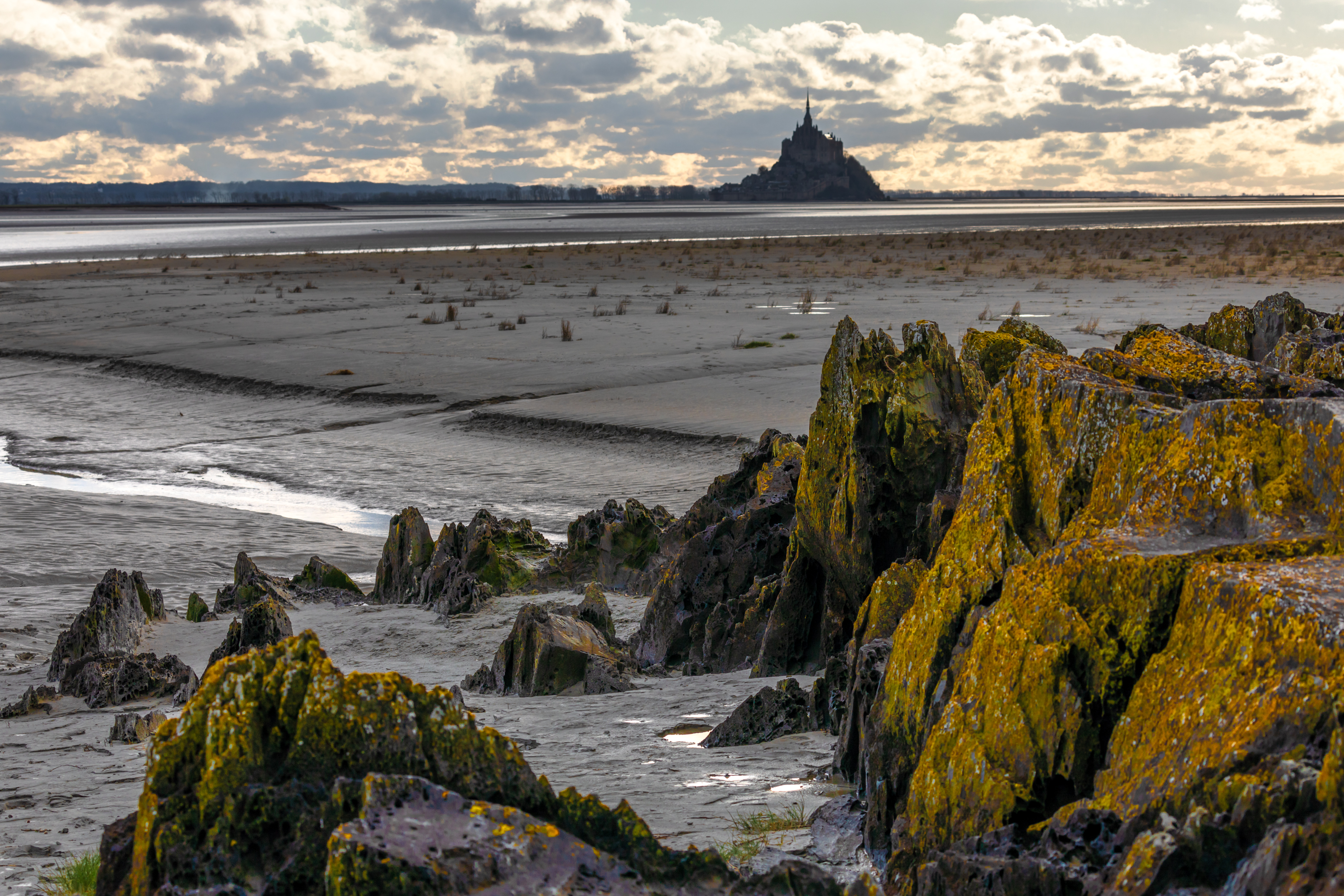 , Евгения Чех