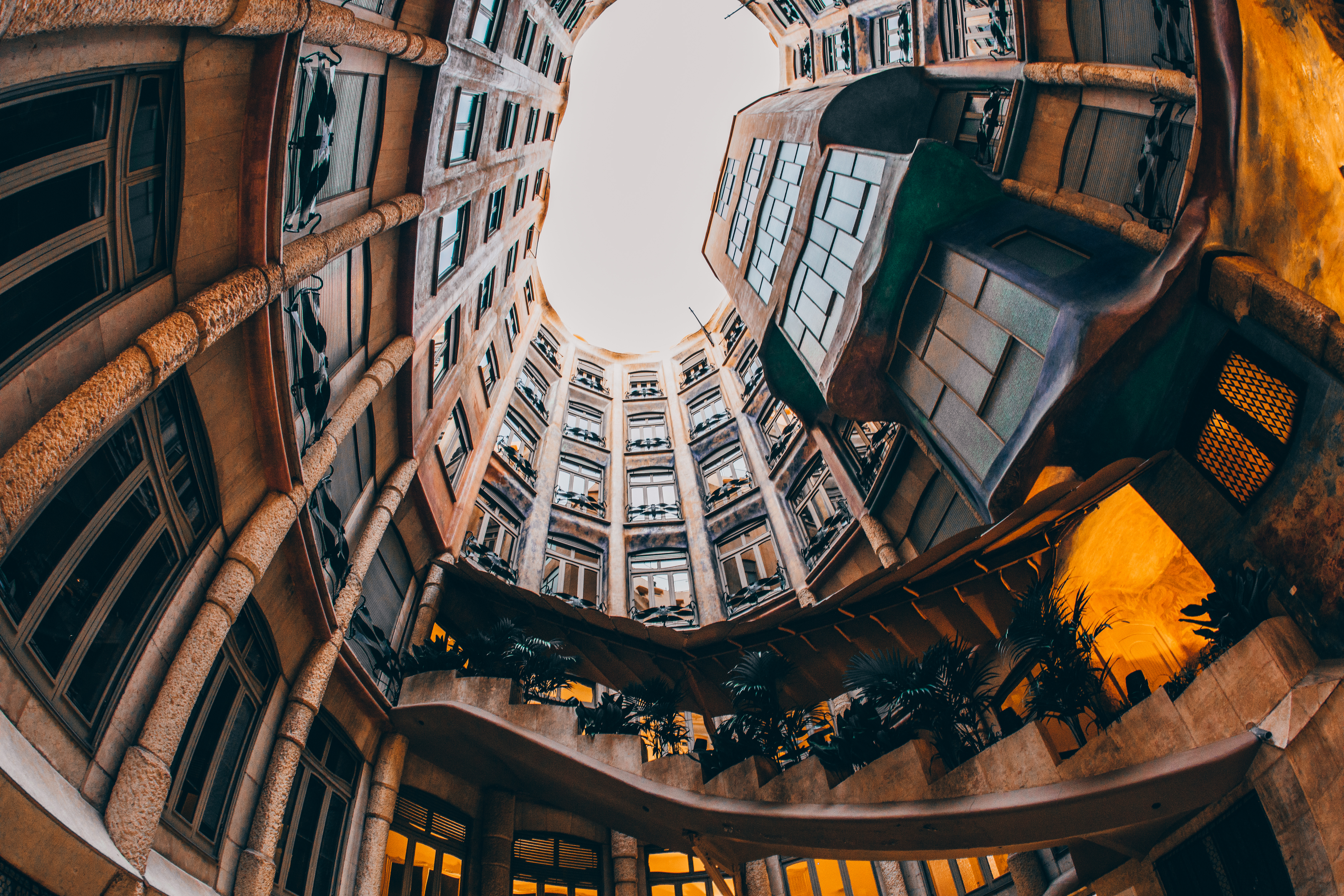 , Трепольский Дмитрий