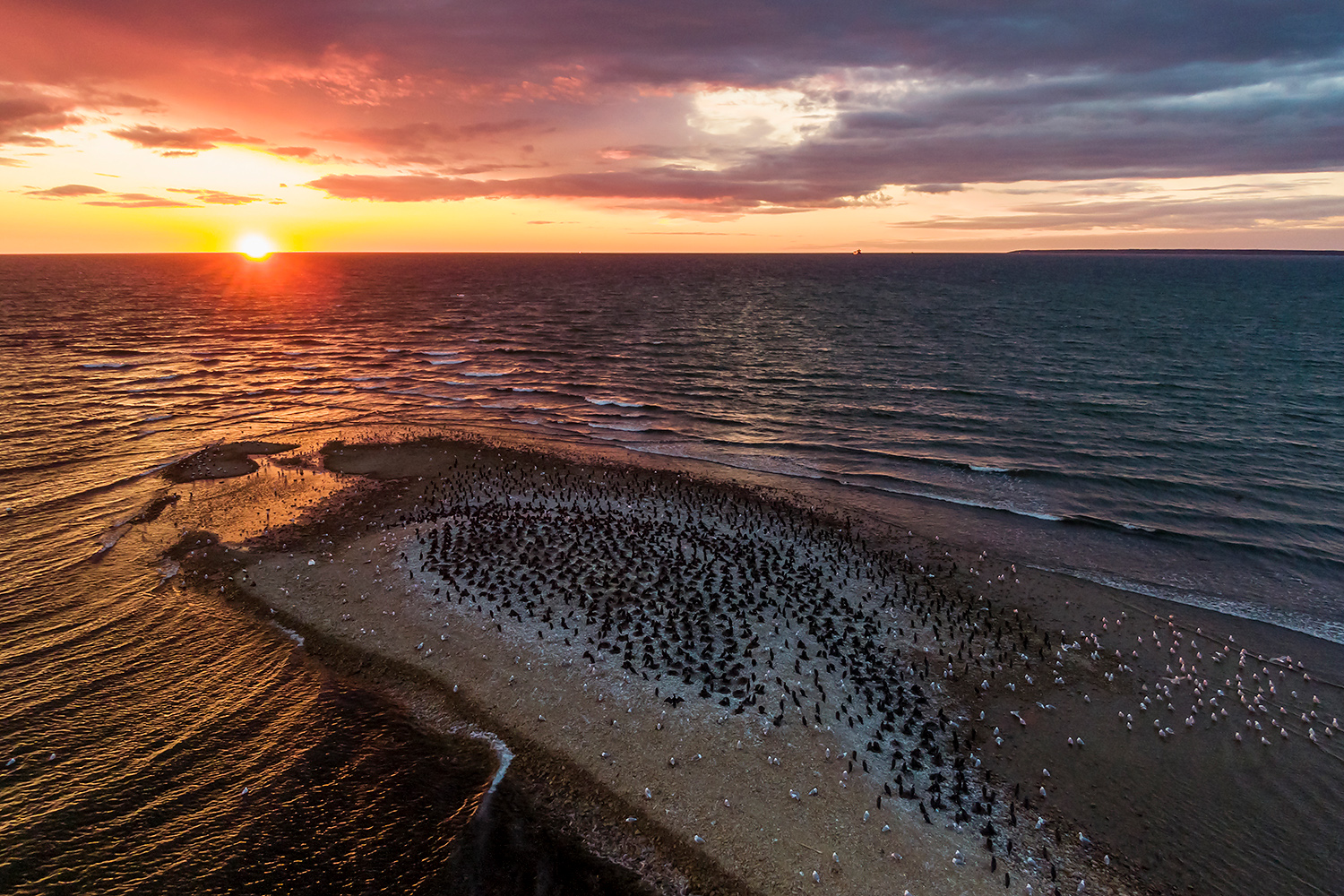 , Абросимов Александр
