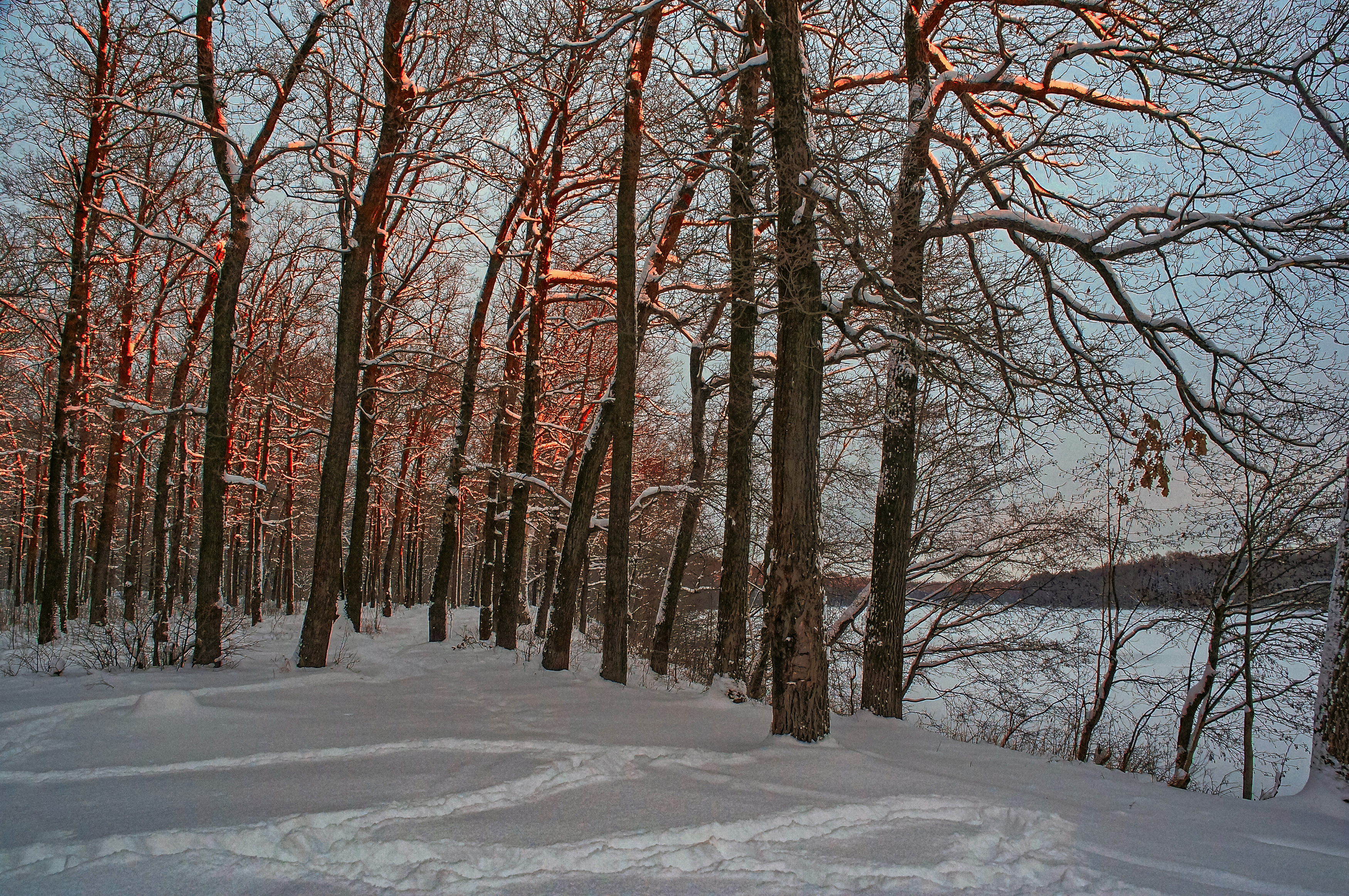 , Шитов Александр