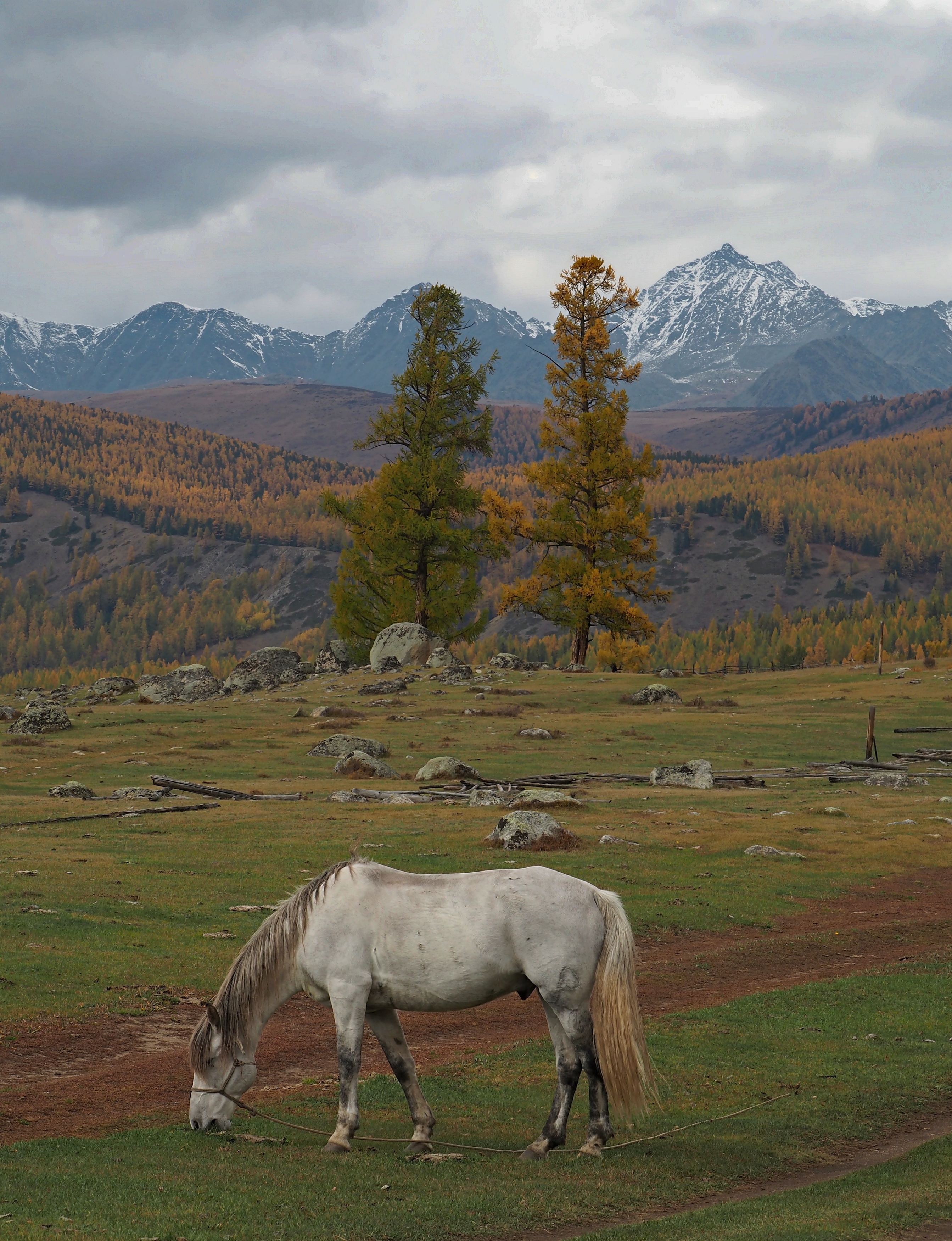, Яковлев Евгений