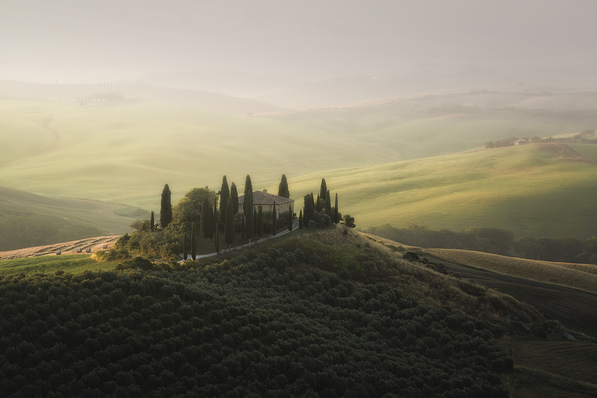 , de Franzoni Thomas