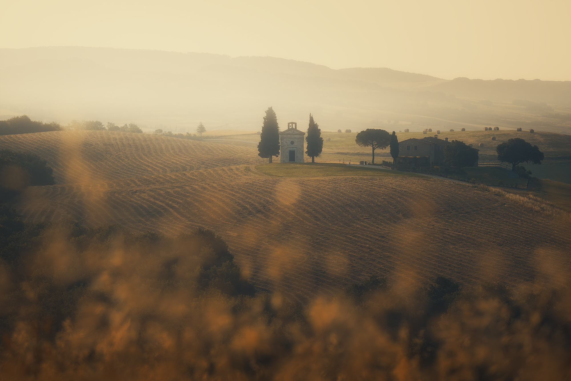 , de Franzoni Thomas