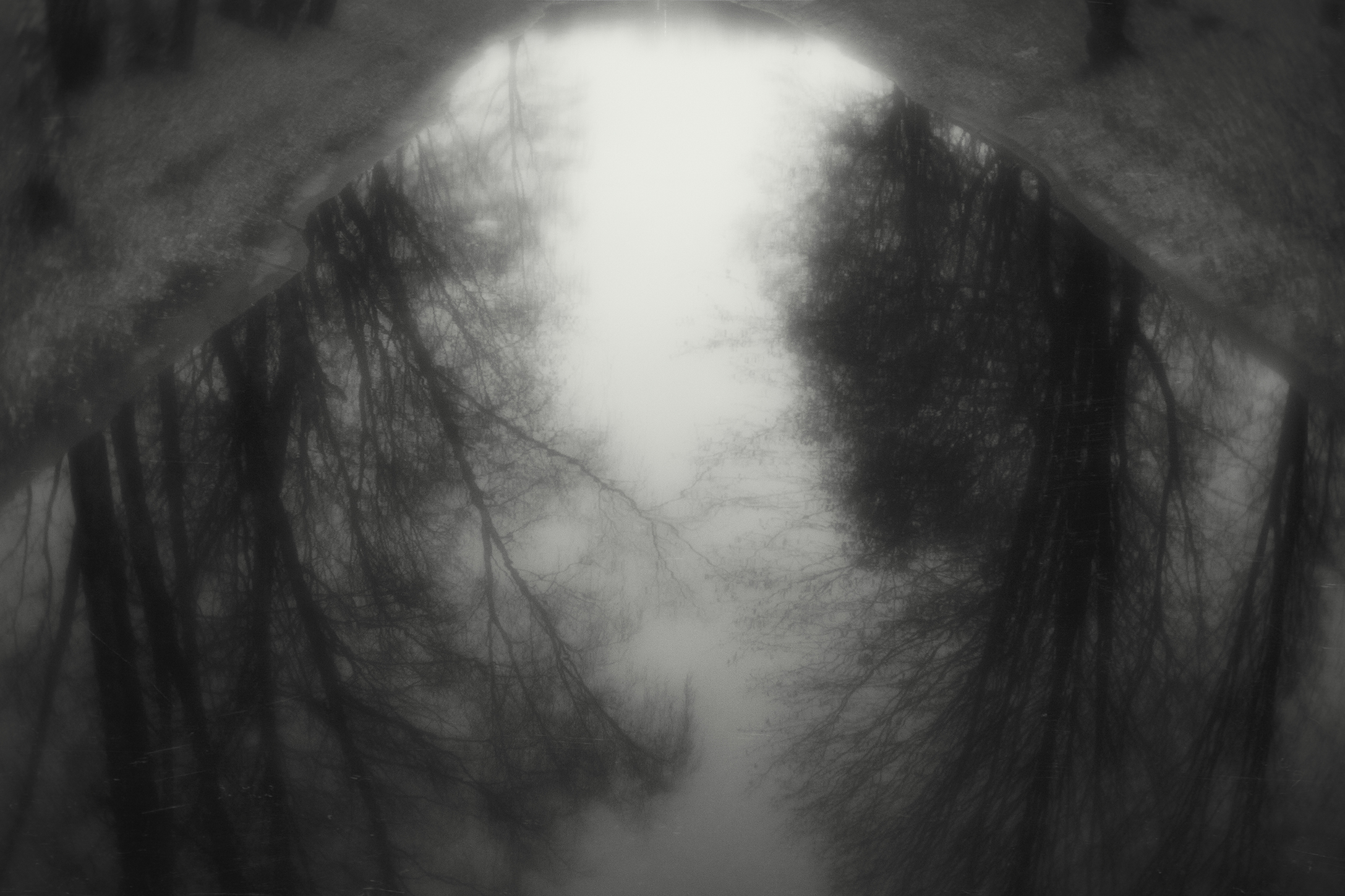 , Алексей Назаров