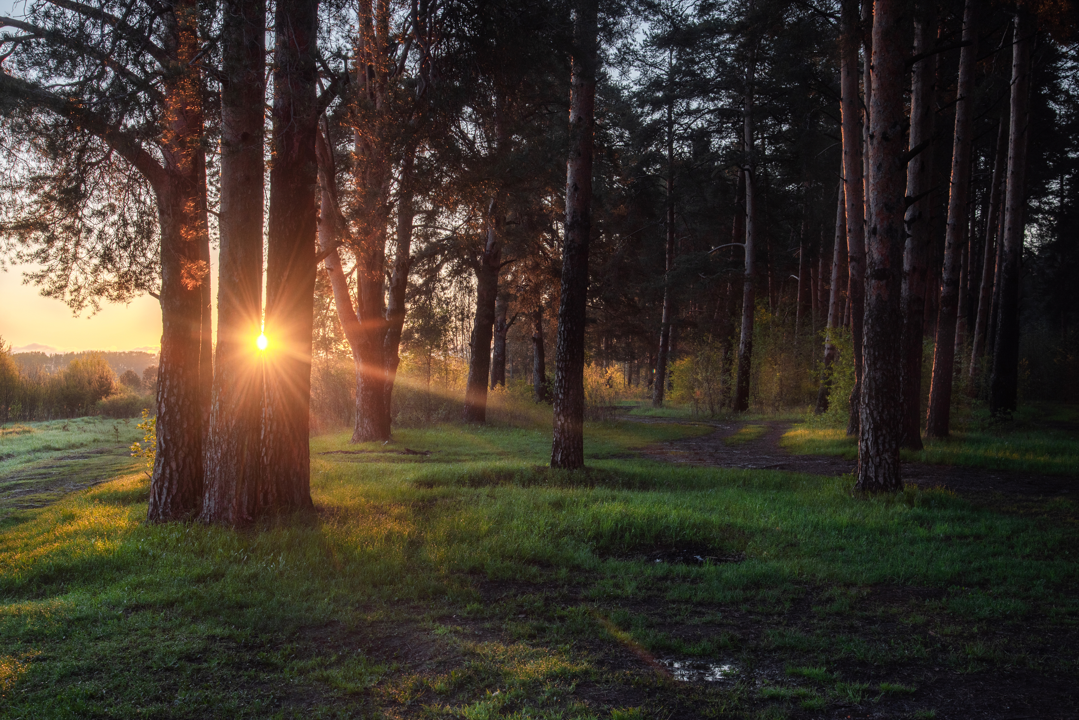 , Малыгин Андрей