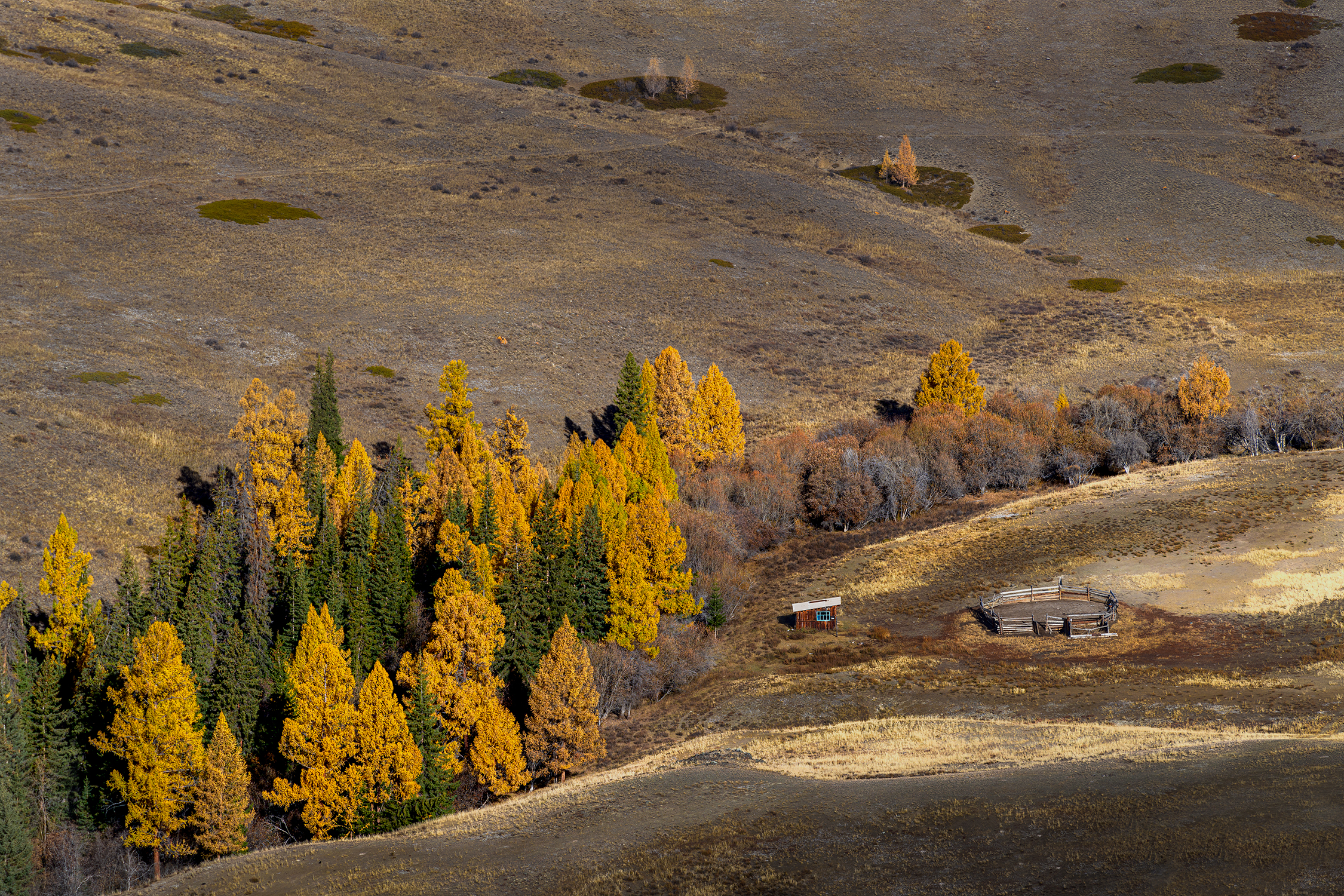 , Юрий Матвеев