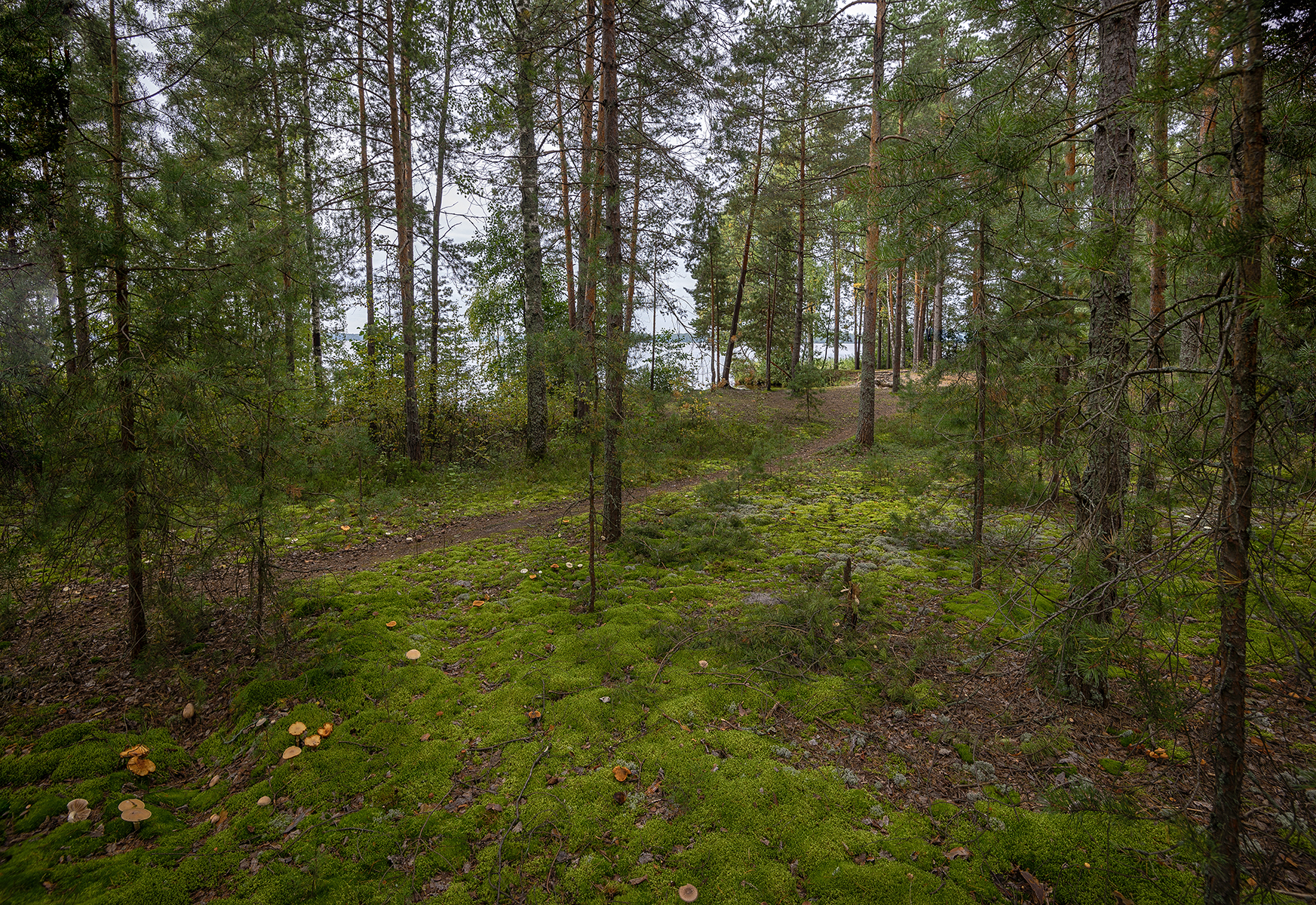 , Сергей Аникин