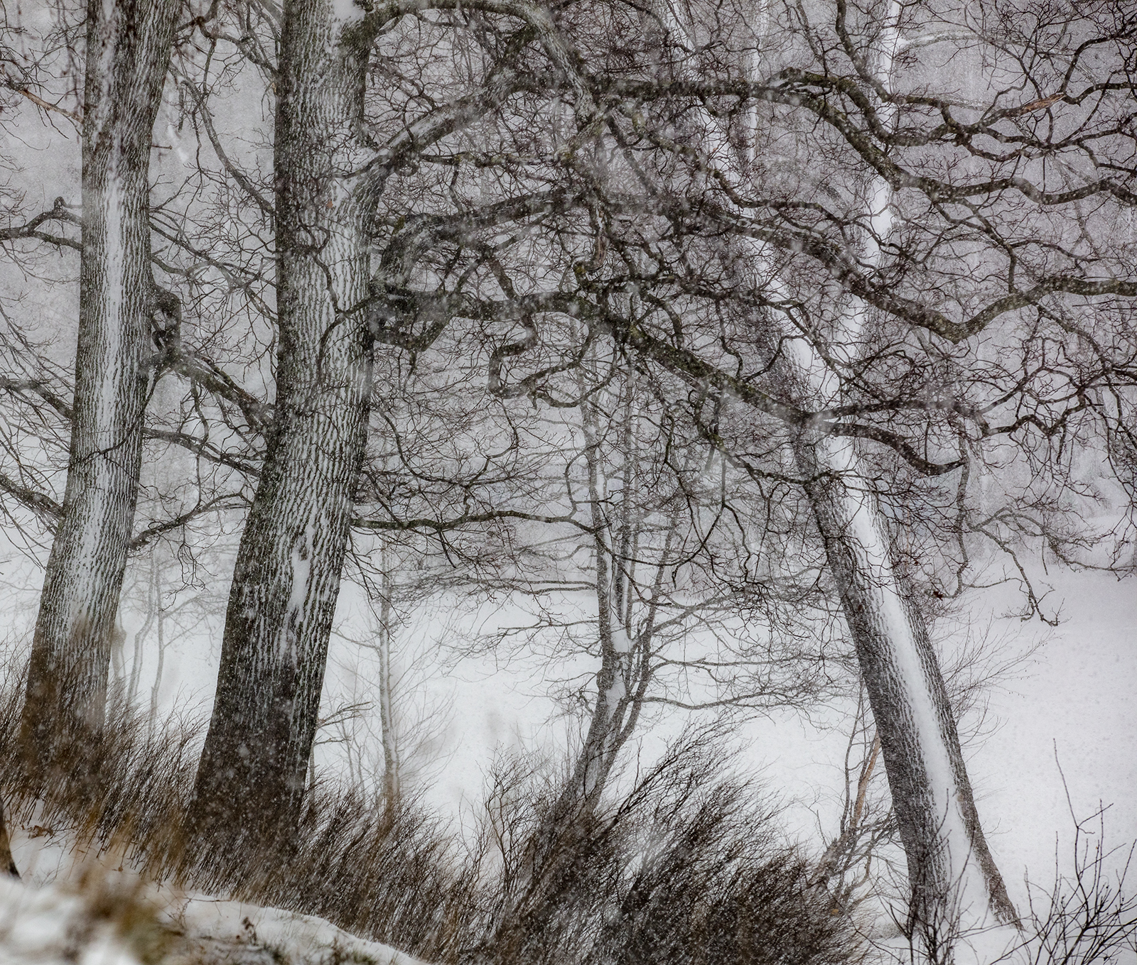 , Aleksandr Mihailov