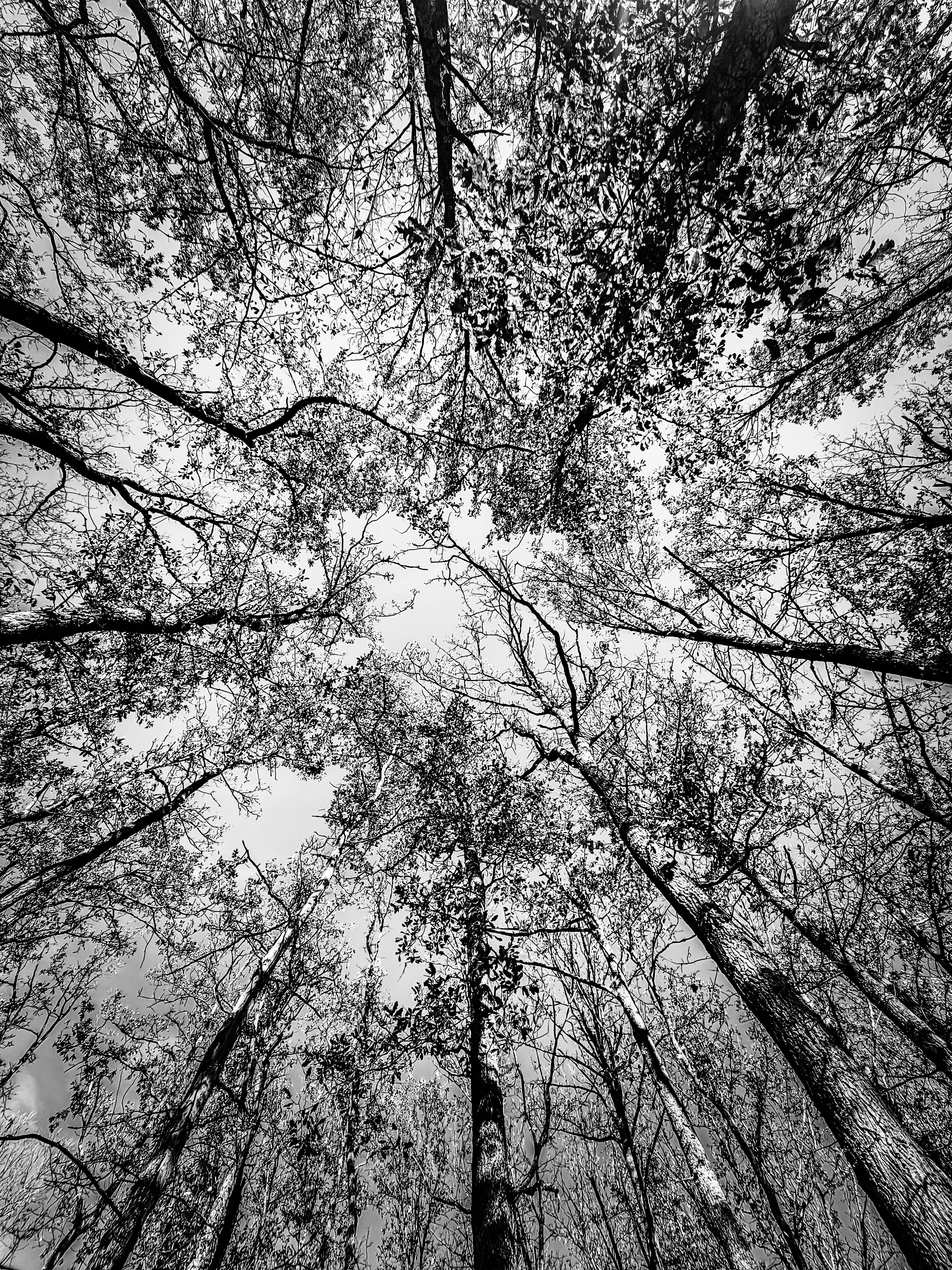 , Шилов Александр