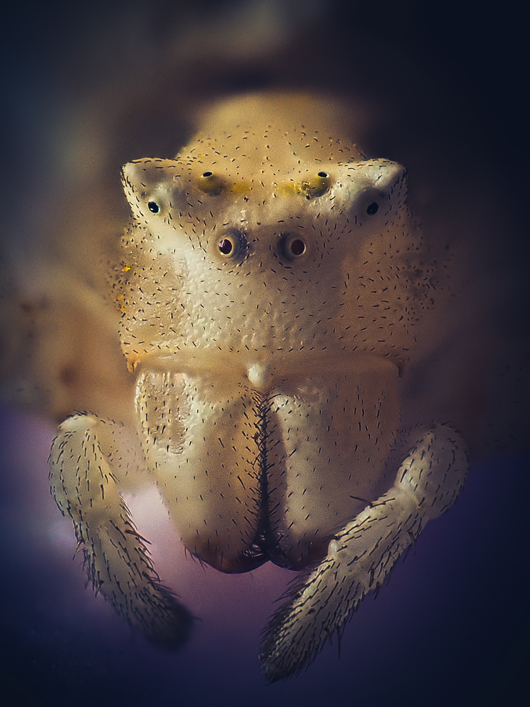 , Юрий Говорков