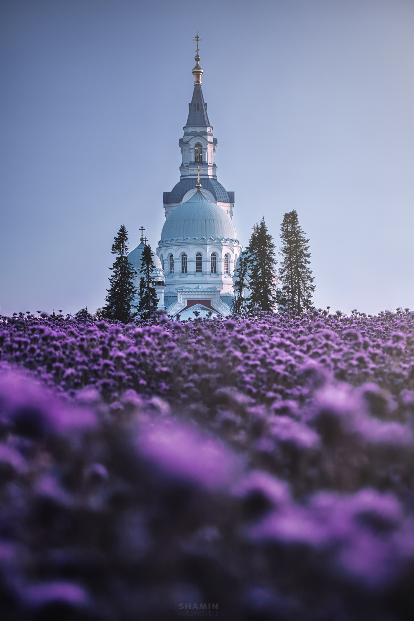 , Константин Шамин