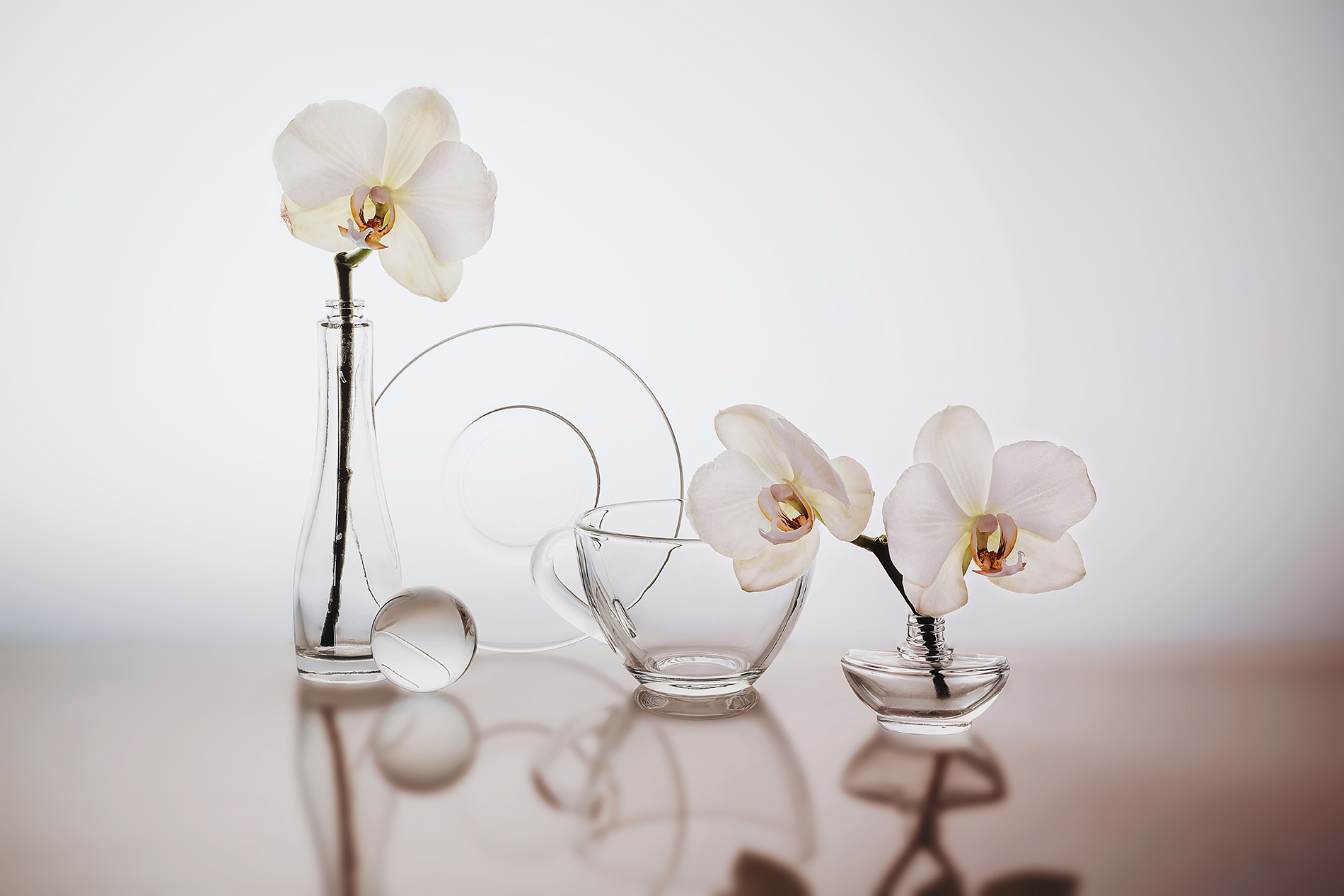 , MVO (Марк Орлов)