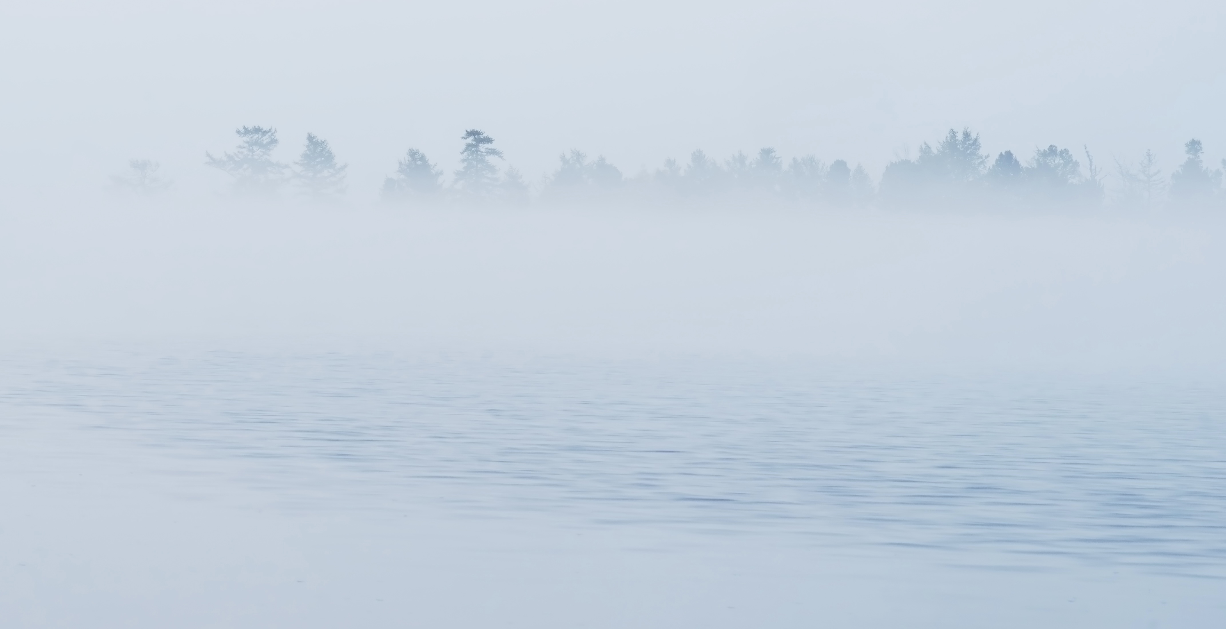 , Наталья Лабодина