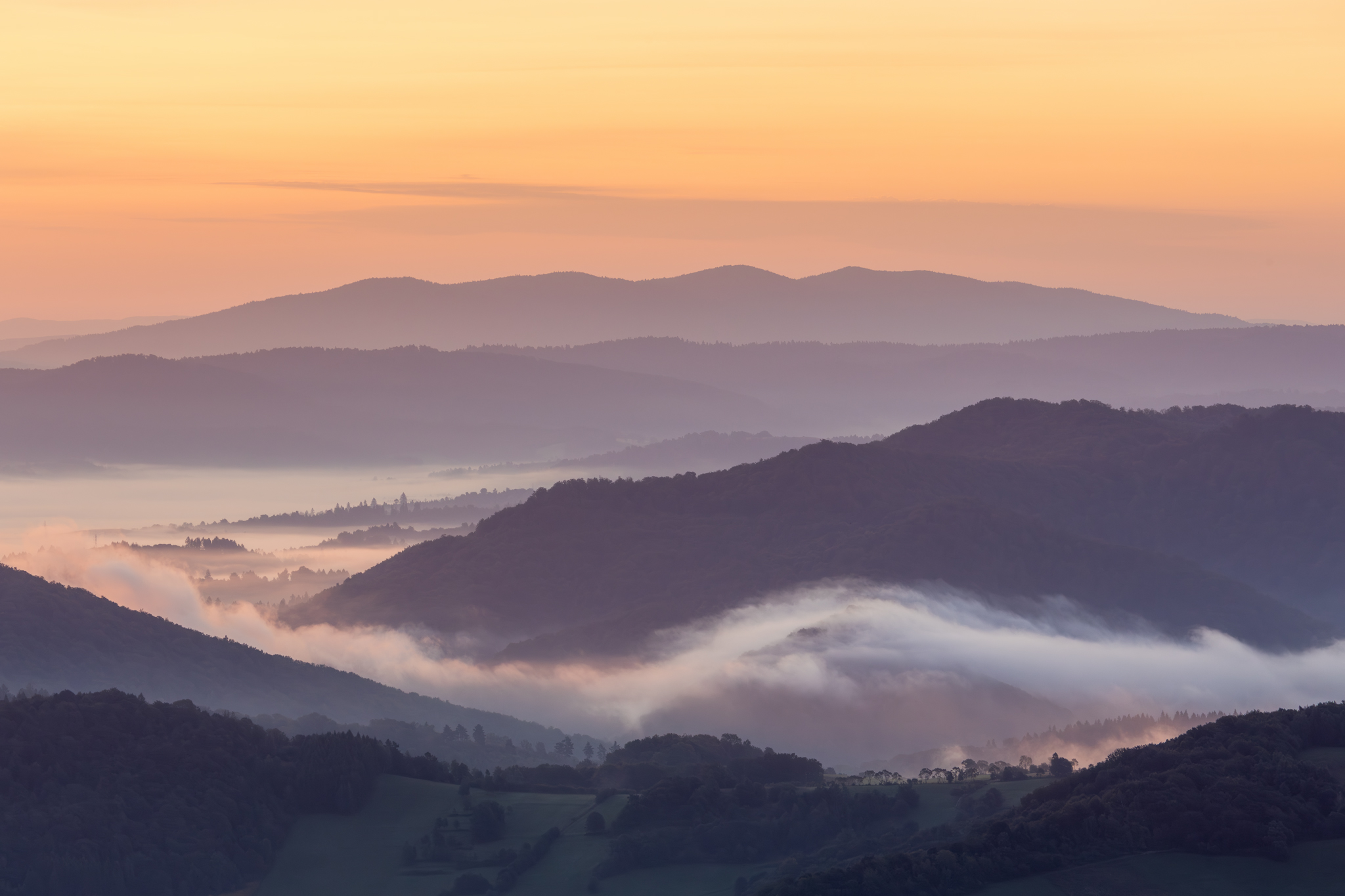 ,  Mirosław Pruchnicki