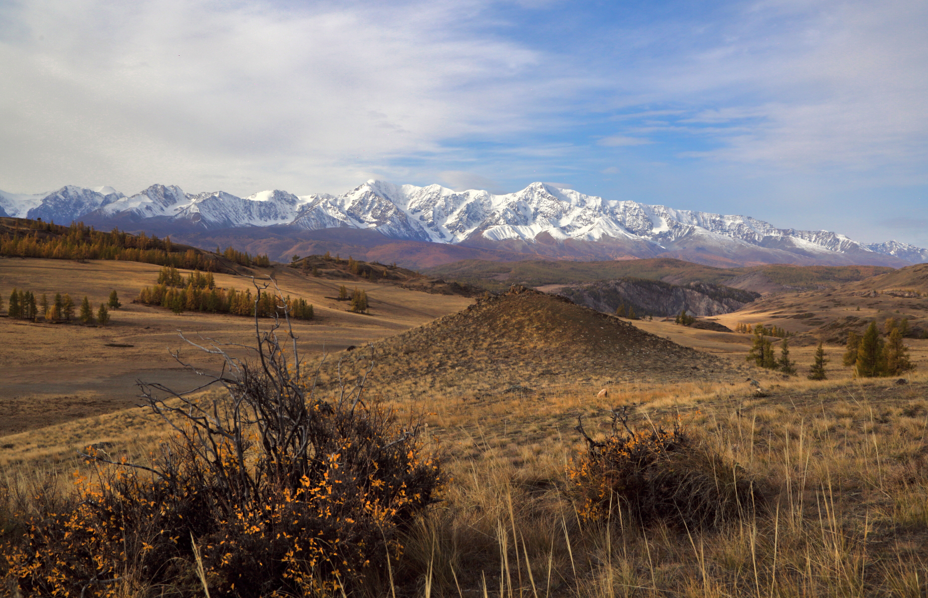 , Евгений Зинов