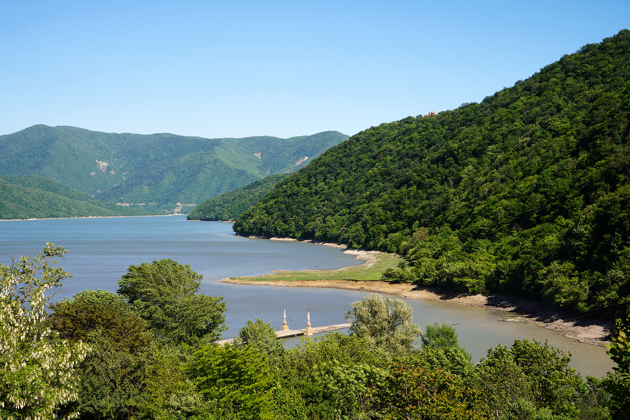 , Новикова Ольга