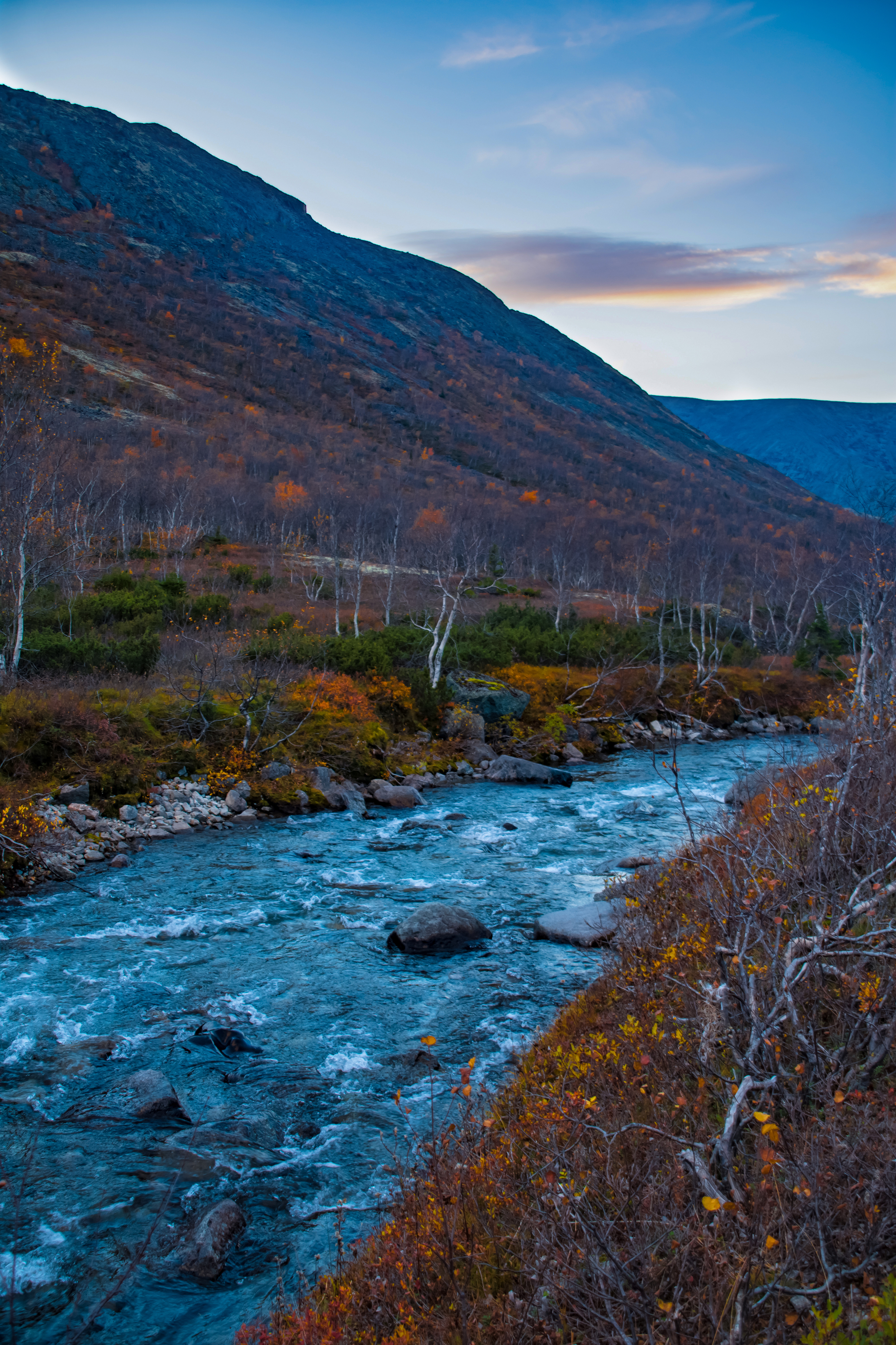 , Егорова Наталья