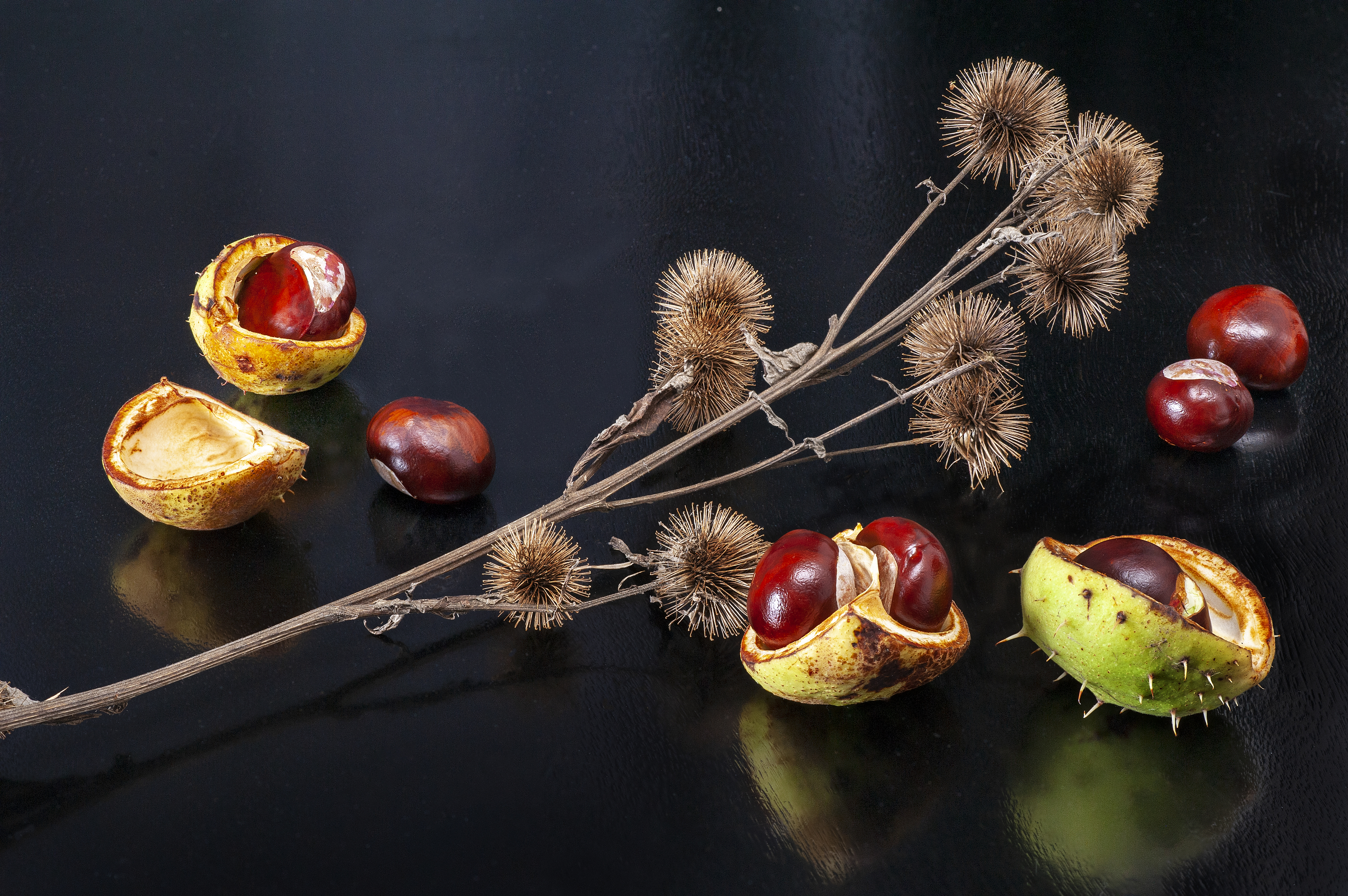 натюрморт, Ходос Илья