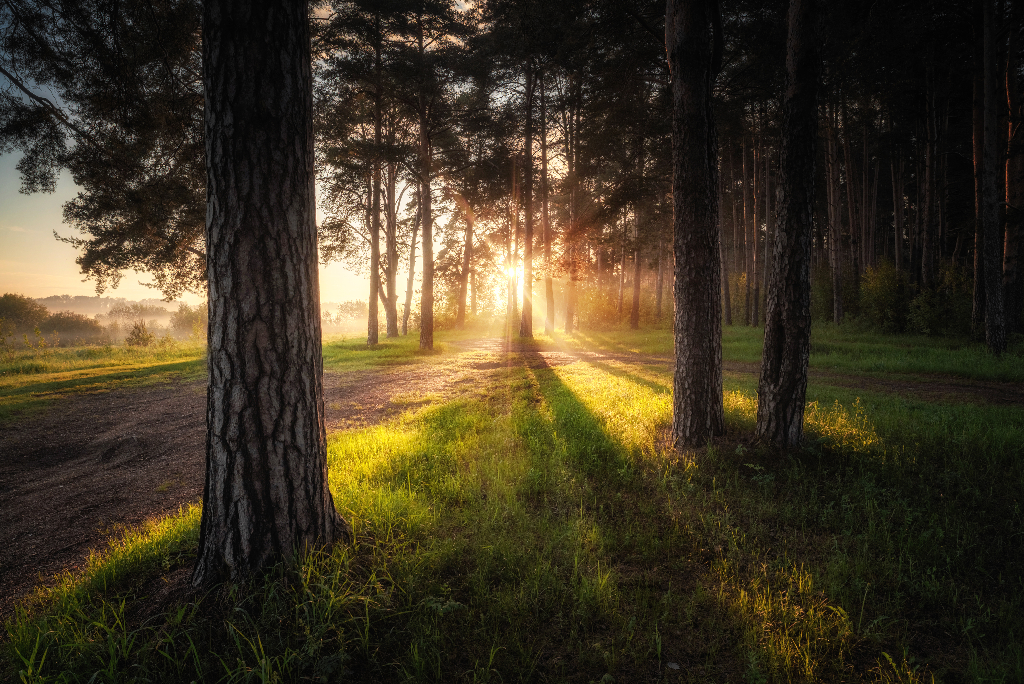 , Малыгин Андрей