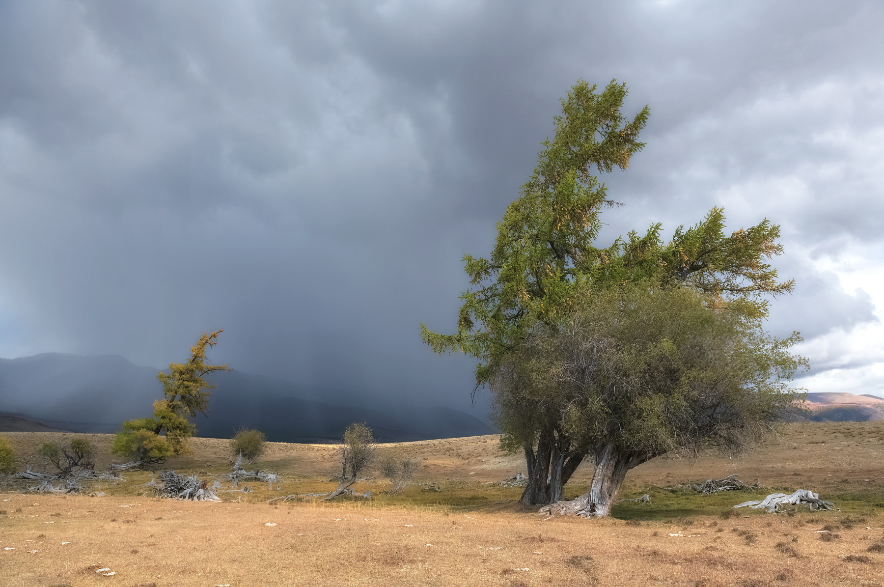 алтай, непогода, осень, Марина Фомина