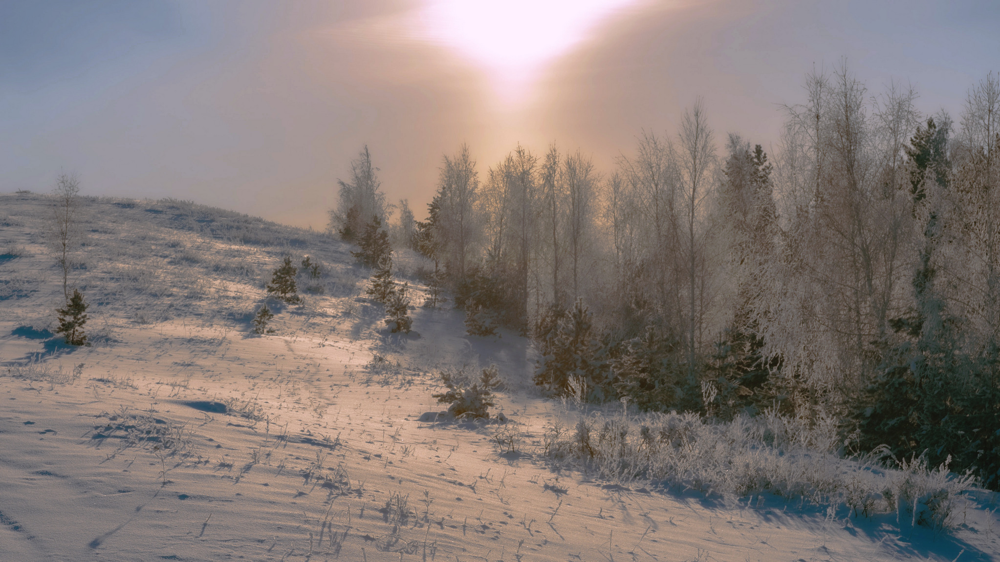 , Шустиков Дмитрий