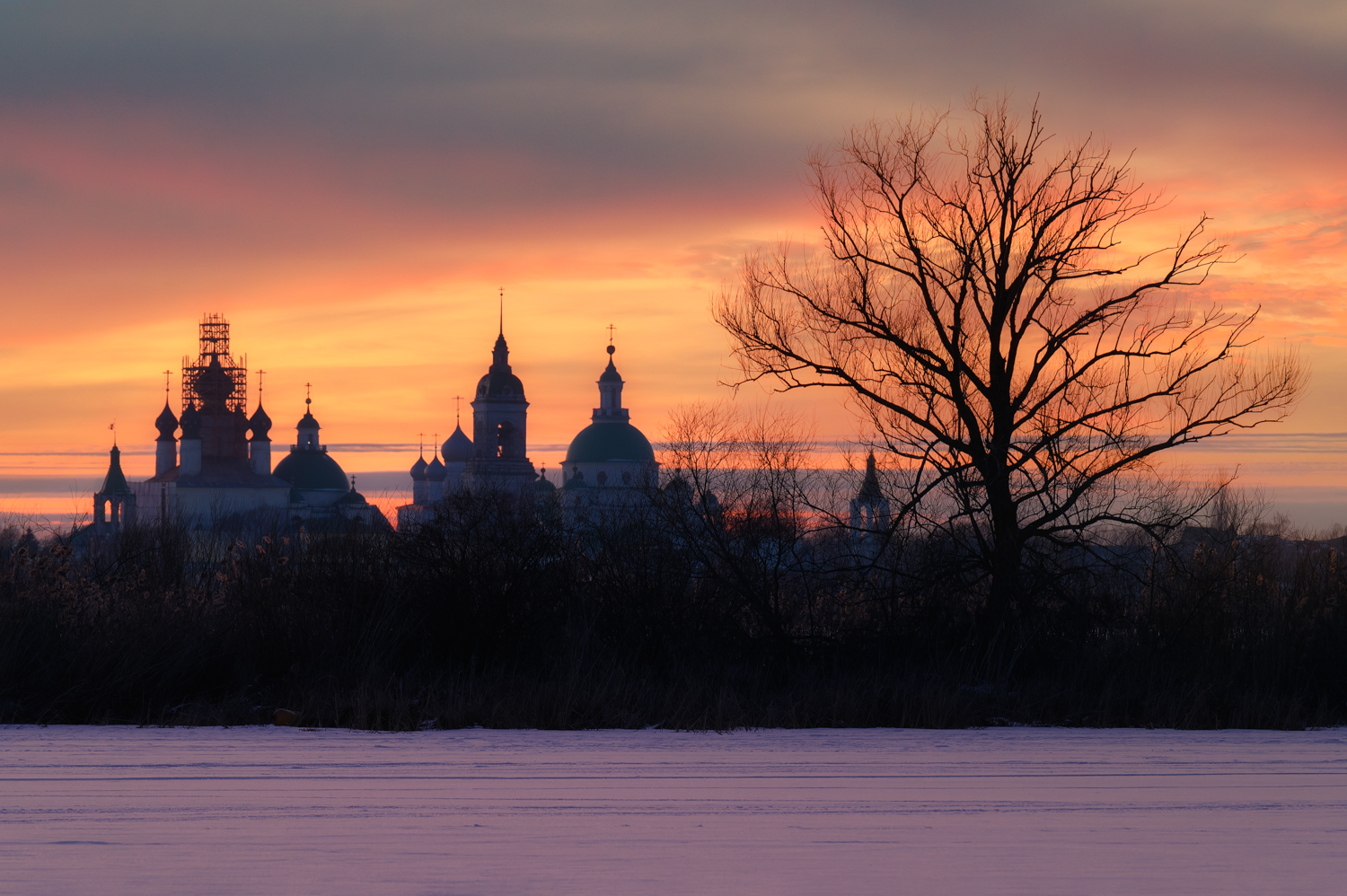 ростов великий, ярославская область, россия, храм, церковь, православие, монастырь, зима, вечер, закат, озеро неро, дерево, Ракичевич Томислав