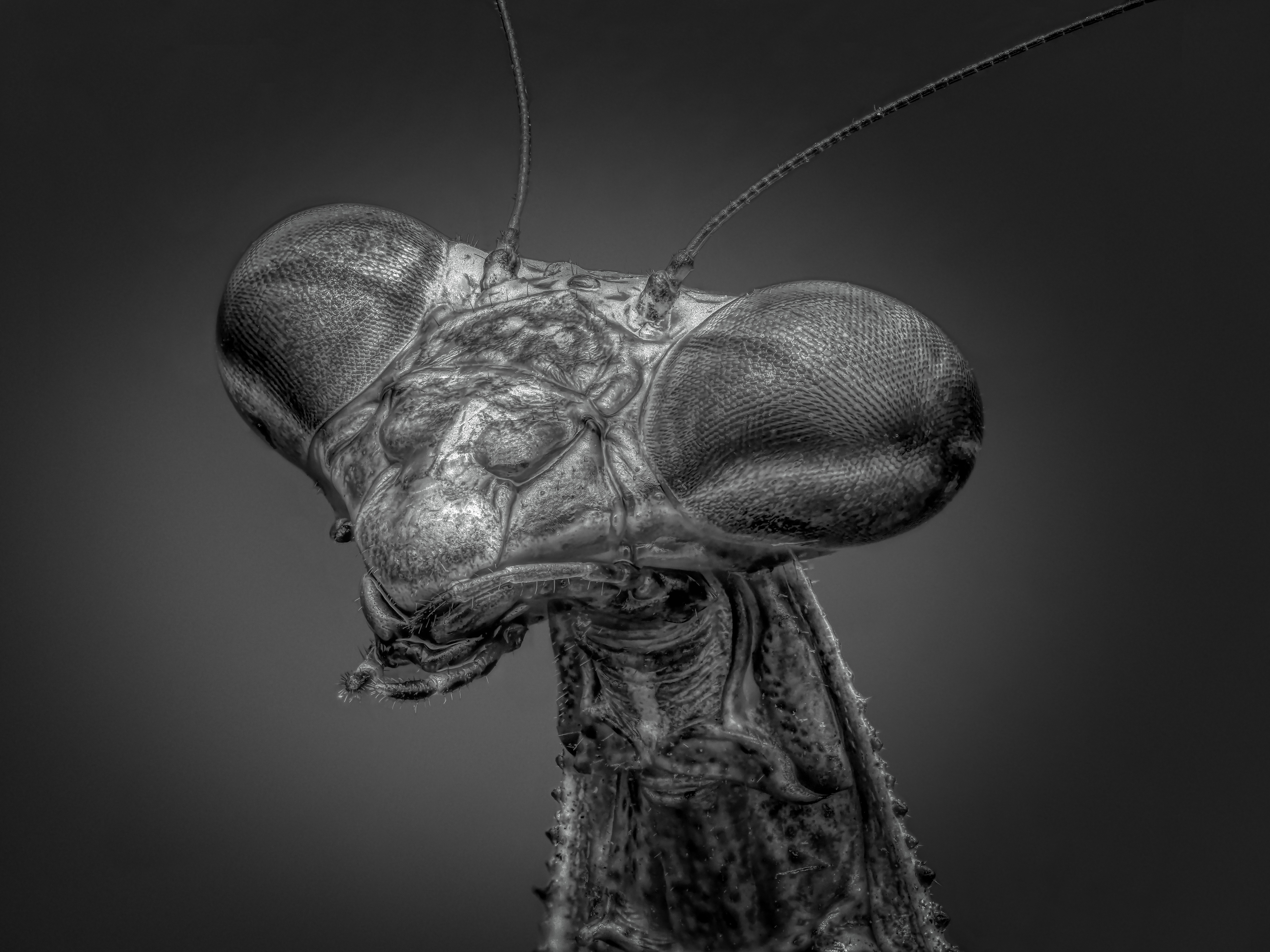 , Олег Савицкий