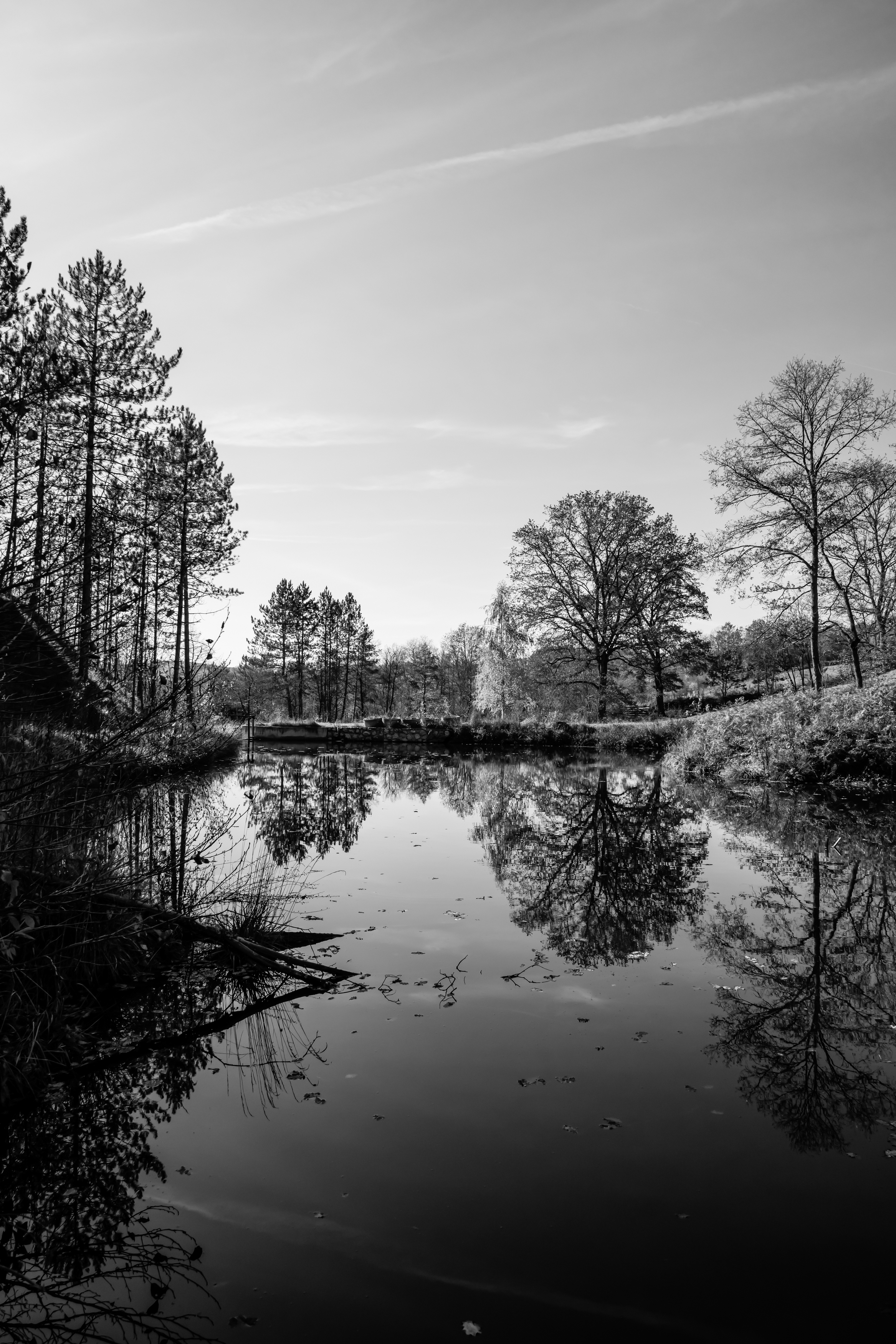 , Шилов Александр