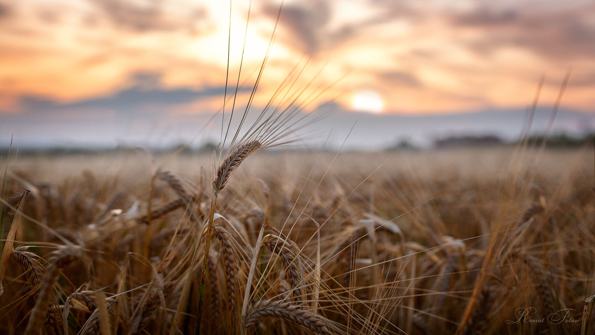 , Фотов Ренат