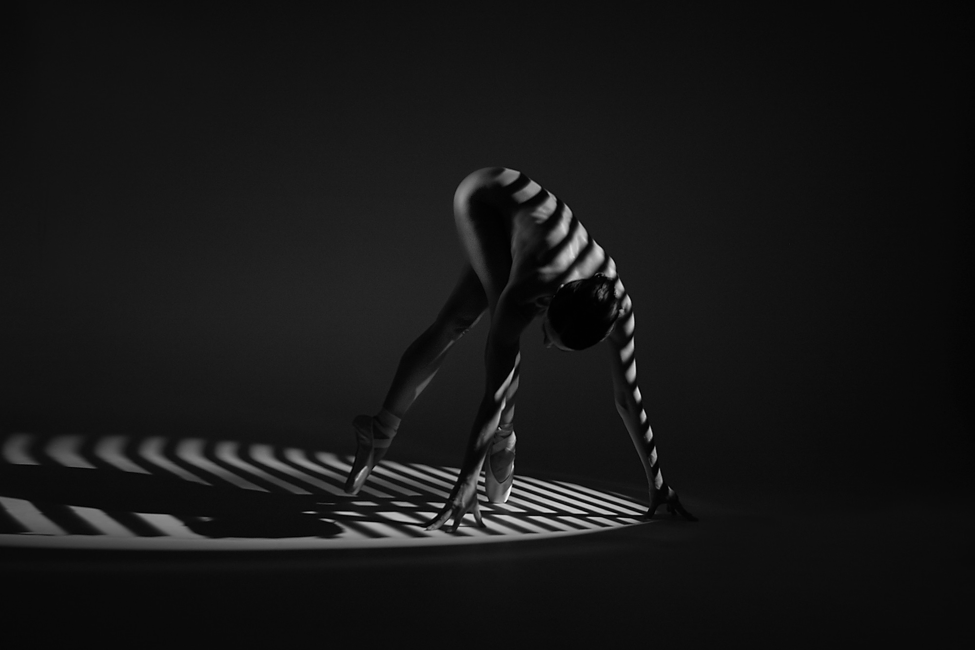 , Андрей Куликов