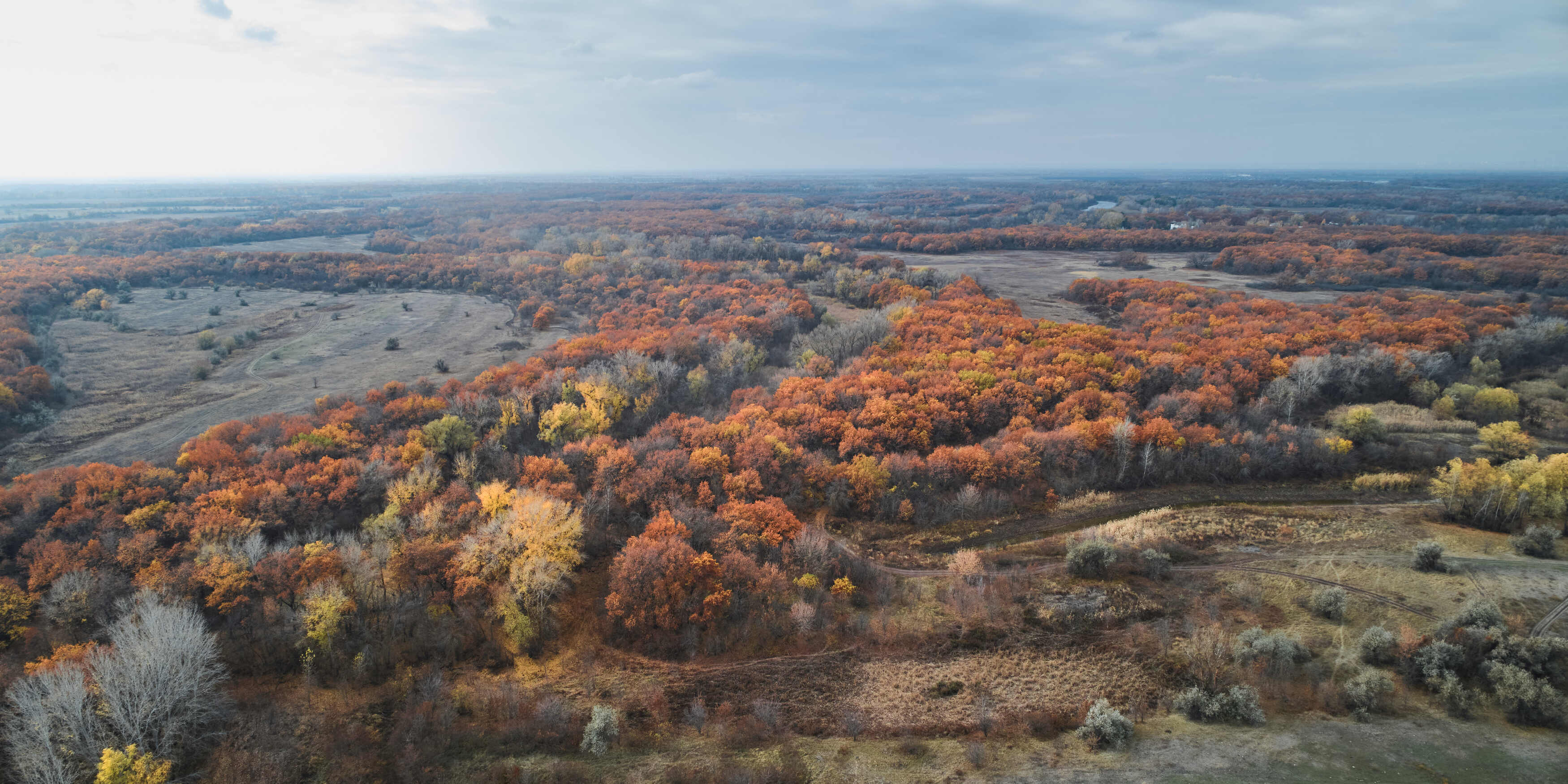 осень, dji, волгоград, волгоградская область, , Павел Сторчилов