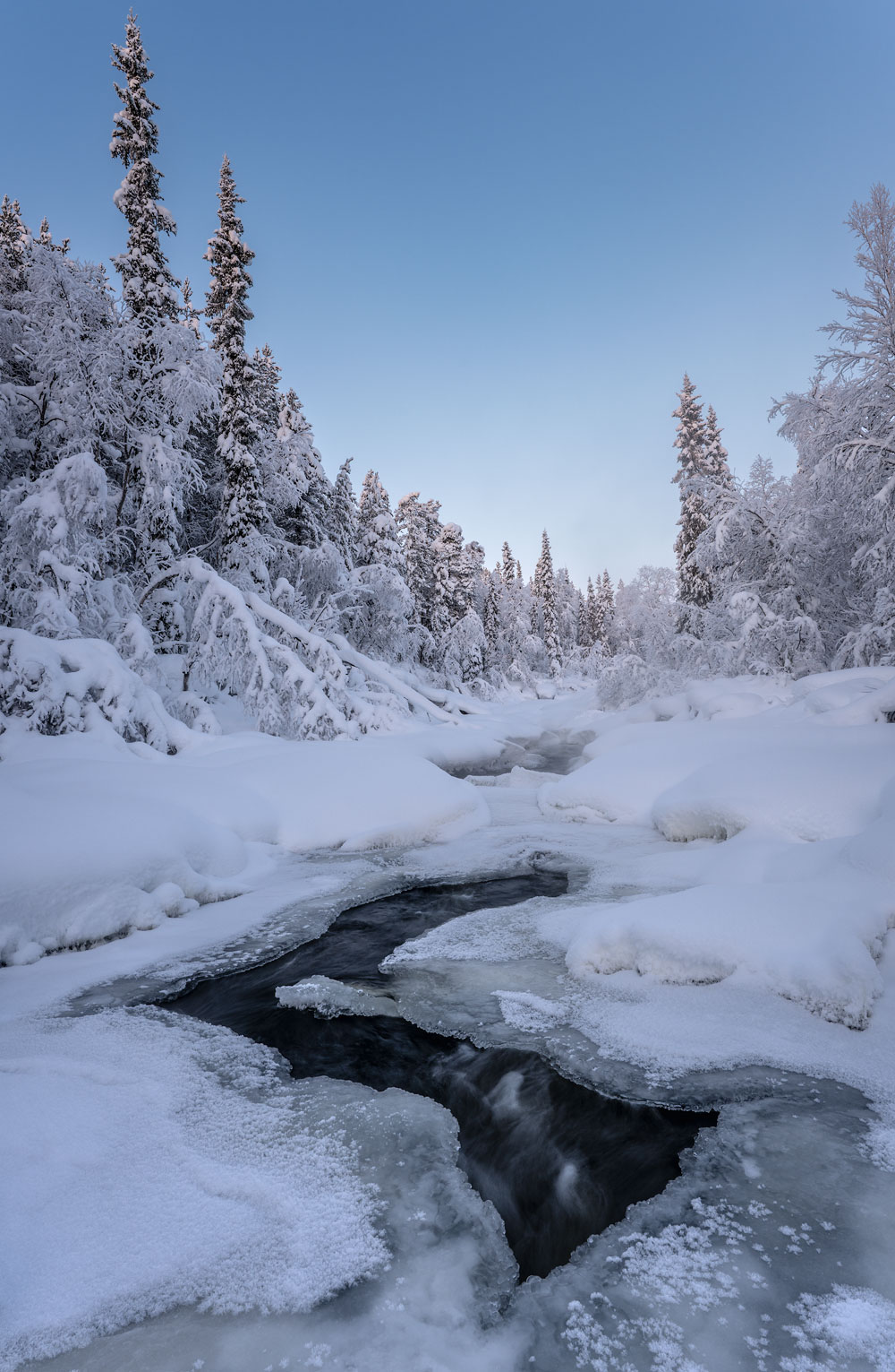 , Бушков Евгений