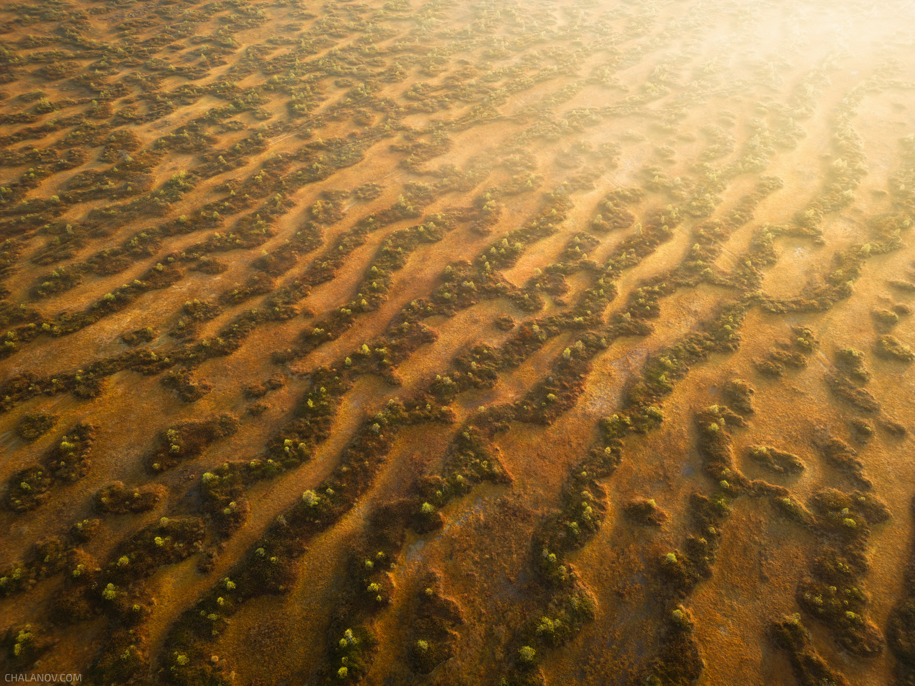 пейзаж, дрон, болото, рассвет, осень, узор, Иван Чаланов
