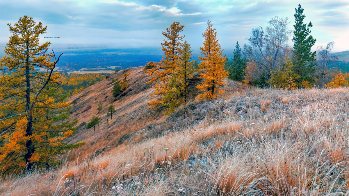 , Евдокимов Сергей