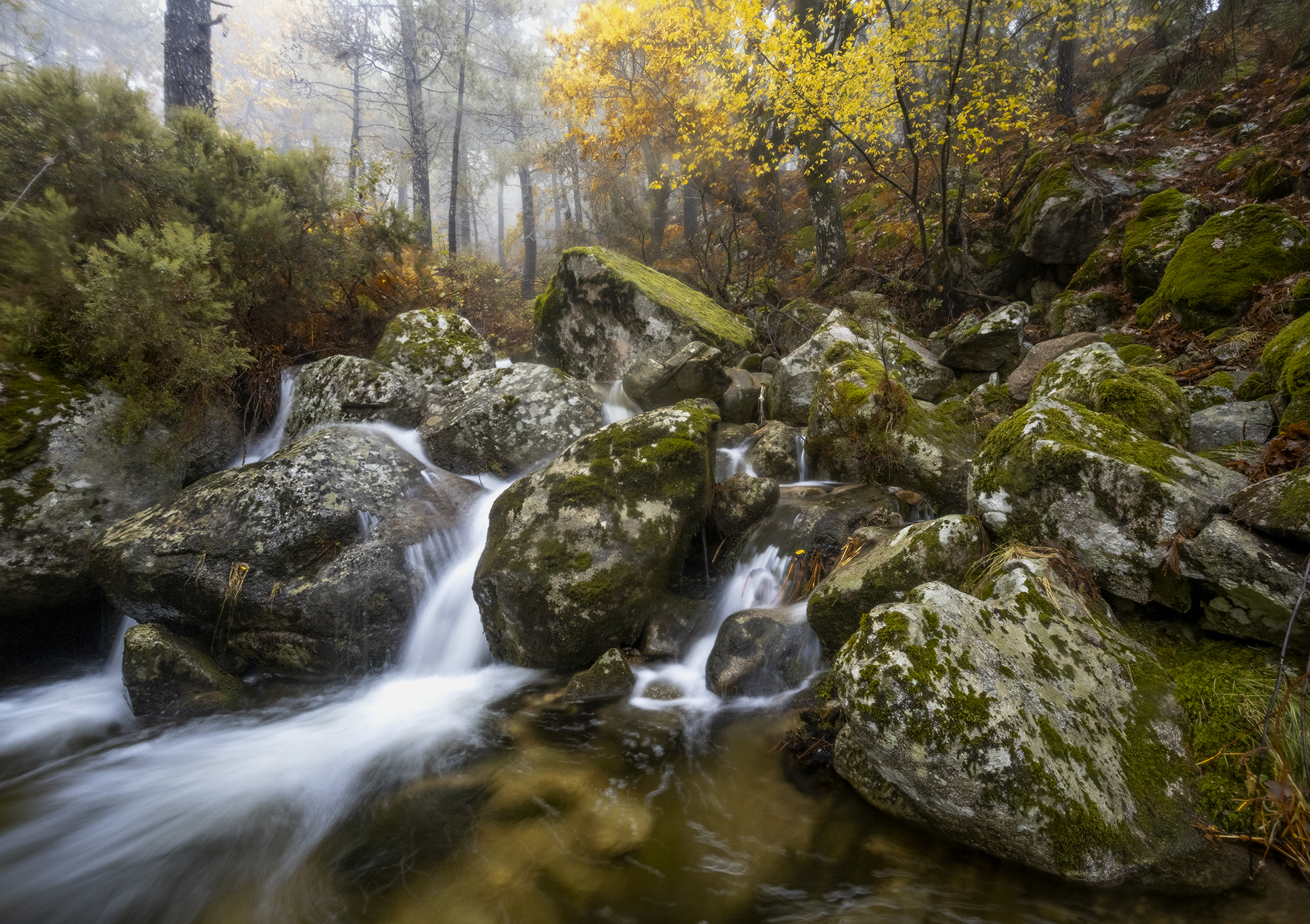 photography, mountain, autumn, fog, landscape, photo, awakening, flowers, land, landmark, lands, soft ligth, ligth, mountains, photo, river, jimenez millan samuel